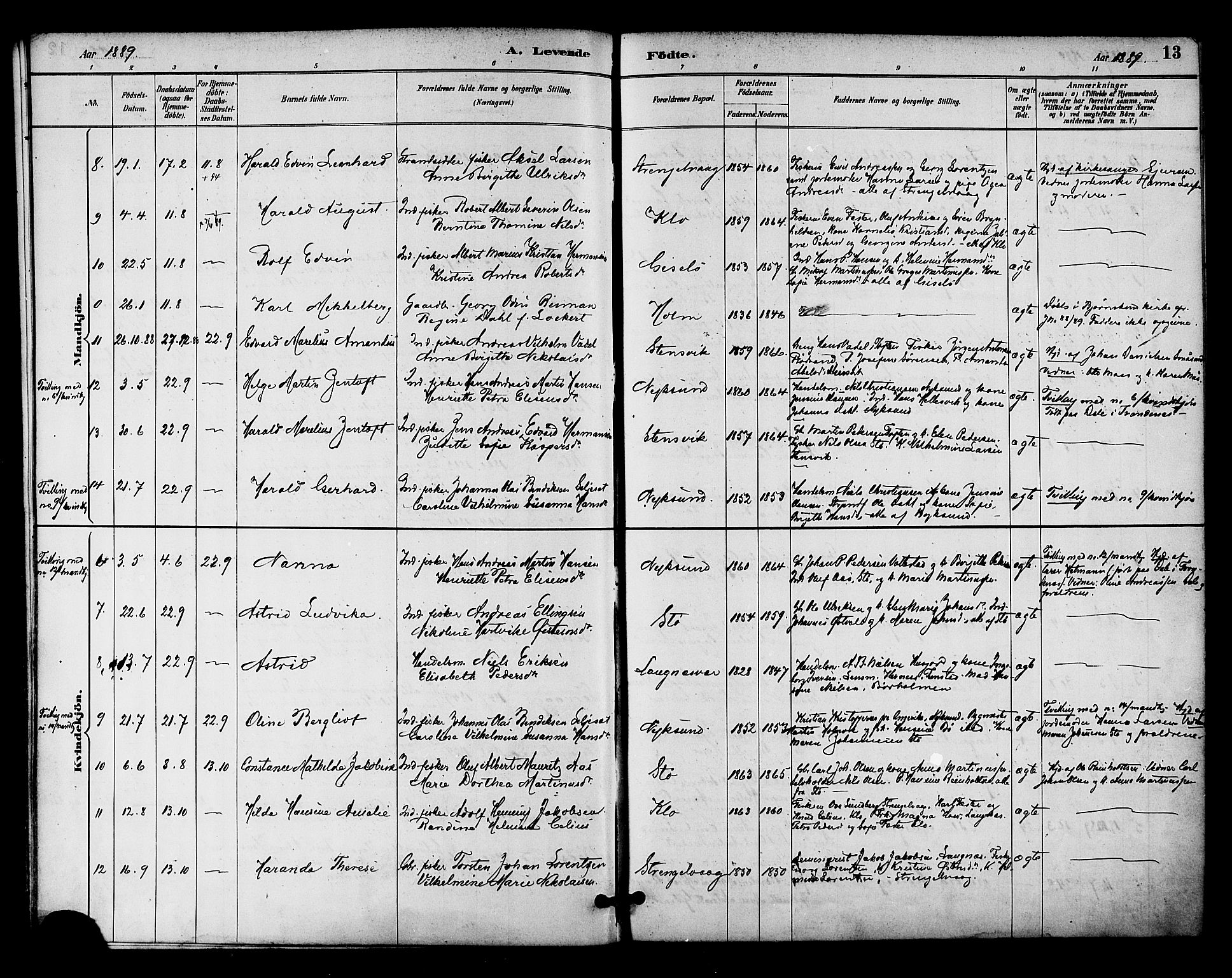 Ministerialprotokoller, klokkerbøker og fødselsregistre - Nordland, SAT/A-1459/894/L1355: Parish register (official) no. 894A01, 1885-1896, p. 13