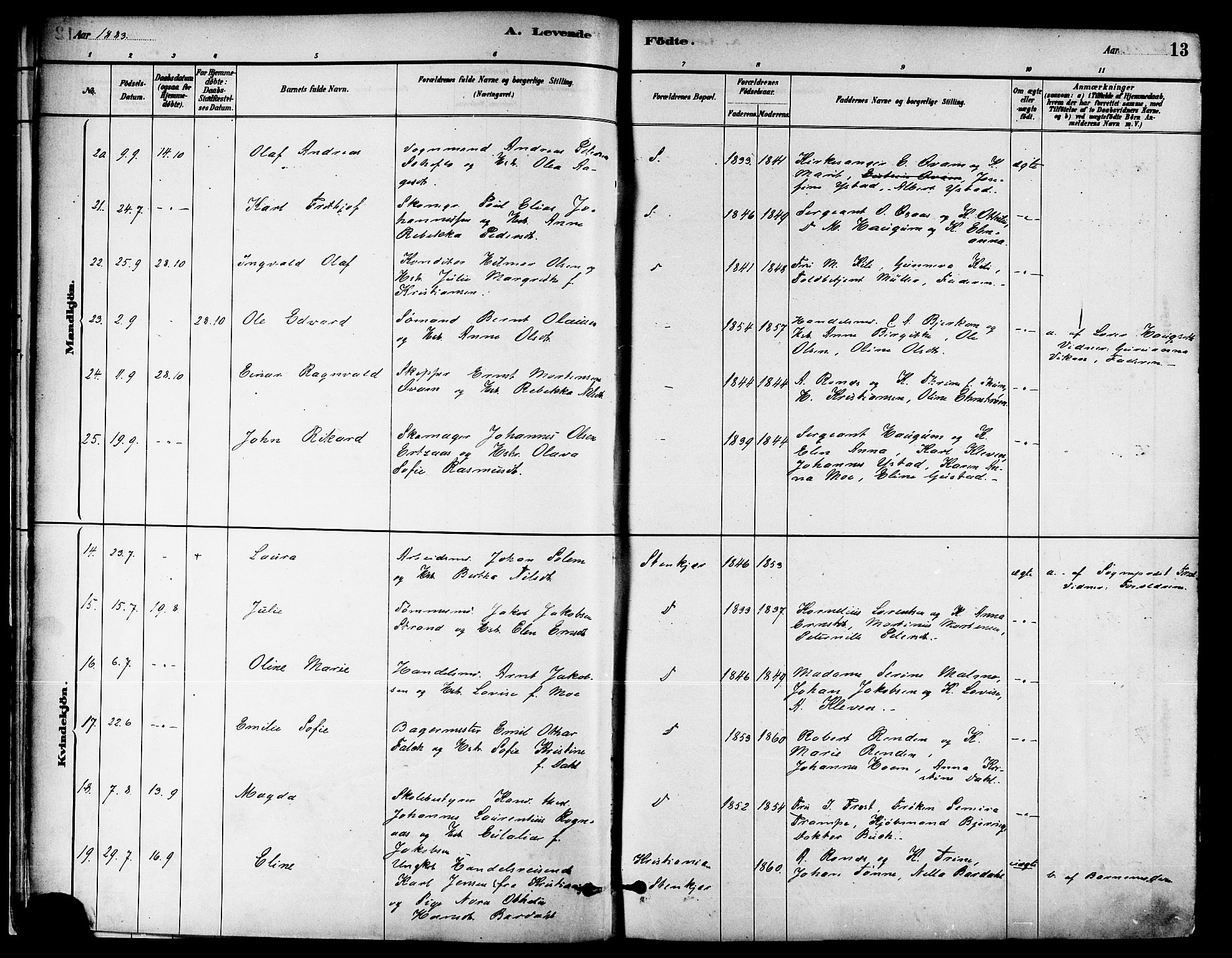 Ministerialprotokoller, klokkerbøker og fødselsregistre - Nord-Trøndelag, AV/SAT-A-1458/739/L0371: Parish register (official) no. 739A03, 1881-1895, p. 13