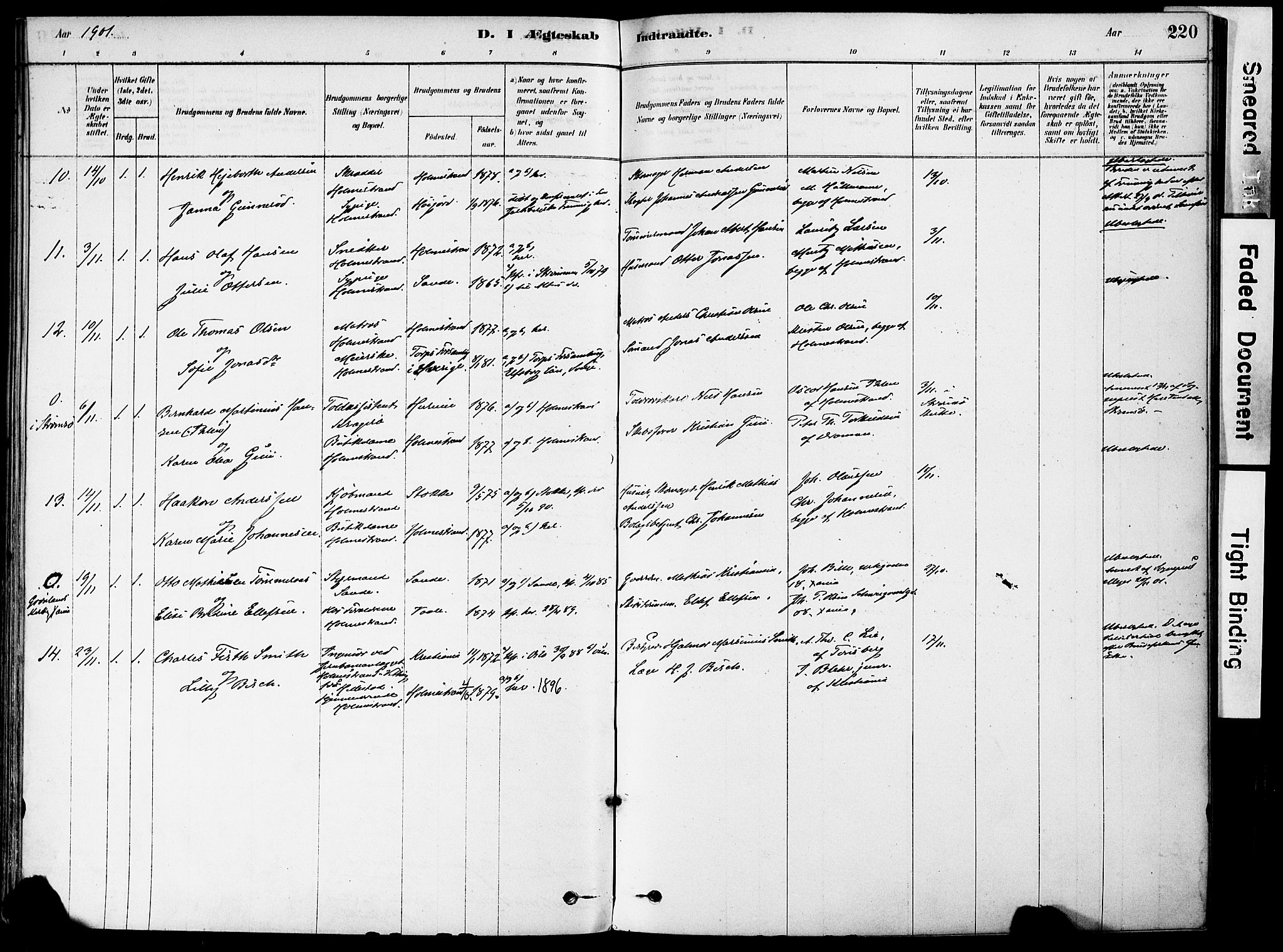 Holmestrand kirkebøker, SAKO/A-346/F/Fa/L0004: Parish register (official) no. 4, 1880-1901, p. 220