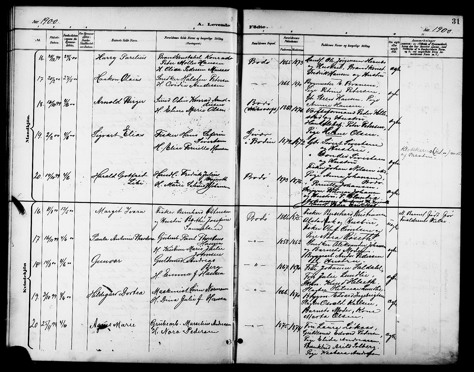 Ministerialprotokoller, klokkerbøker og fødselsregistre - Nordland, AV/SAT-A-1459/801/L0033: Parish register (copy) no. 801C08, 1898-1910, p. 31