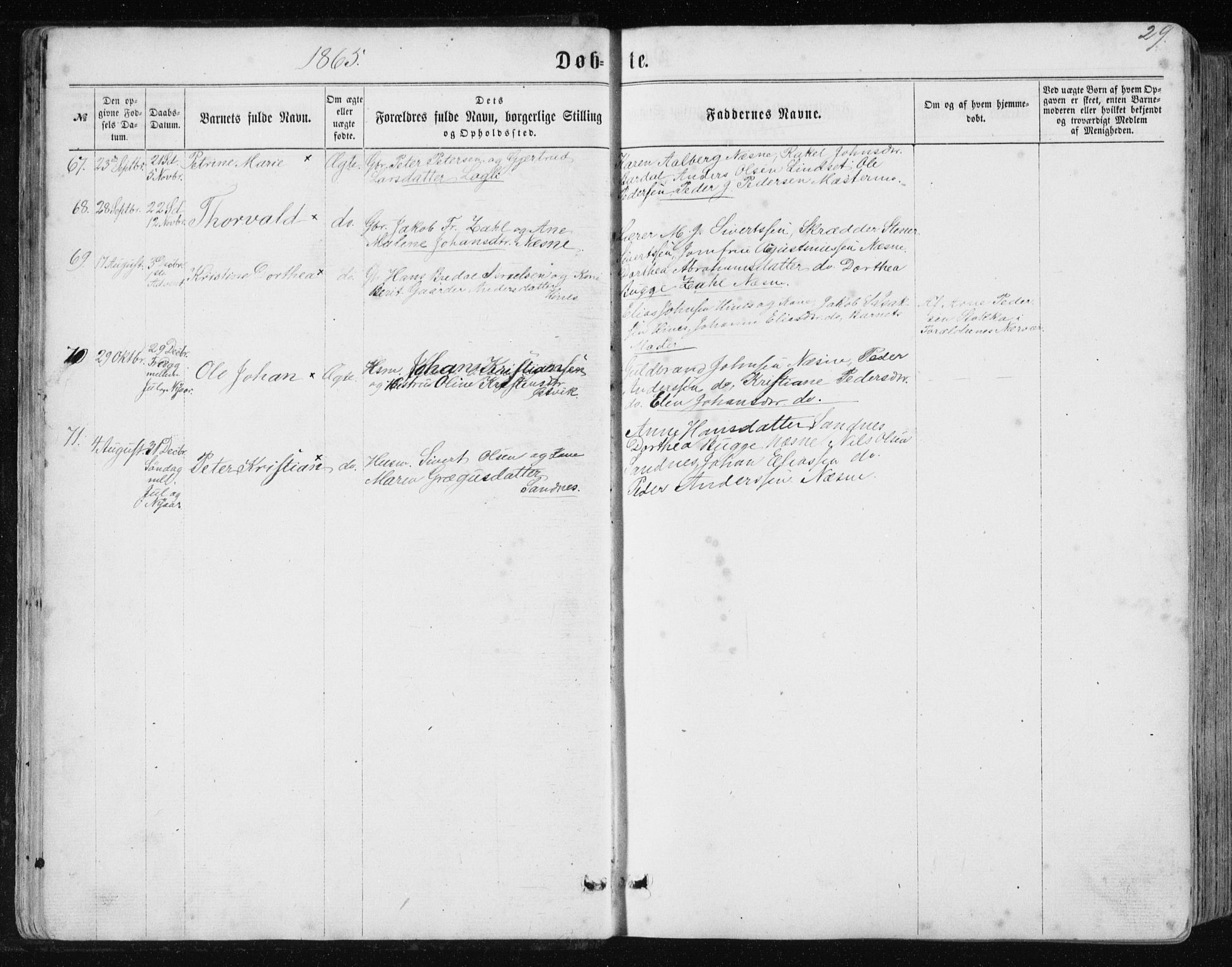 Ministerialprotokoller, klokkerbøker og fødselsregistre - Nordland, AV/SAT-A-1459/838/L0556: Parish register (copy) no. 838C03, 1861-1893, p. 29