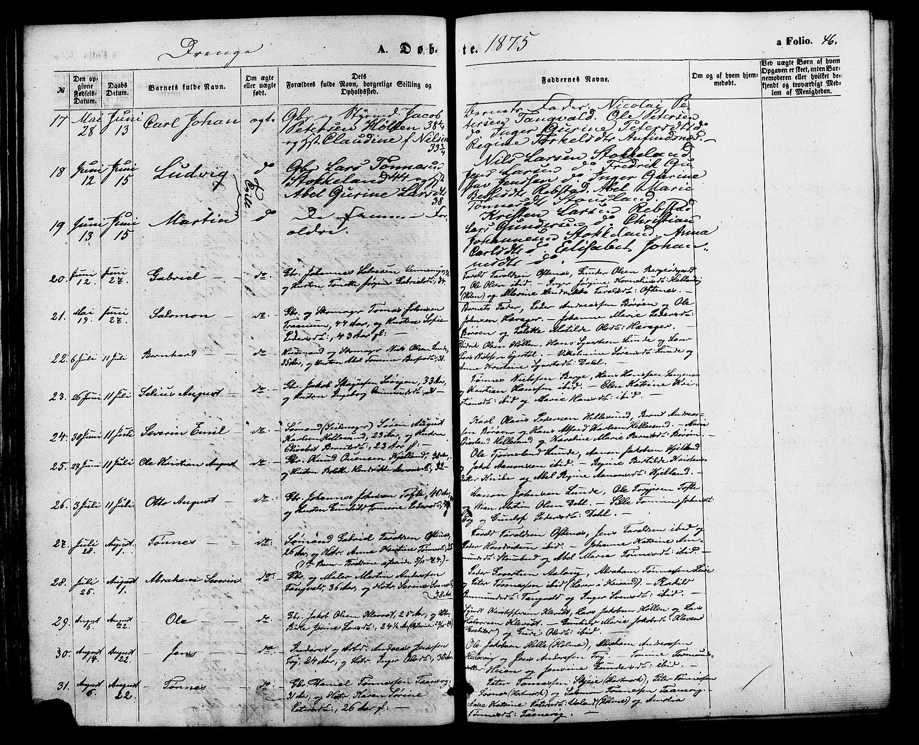 Søgne sokneprestkontor, AV/SAK-1111-0037/F/Fa/Fab/L0011: Parish register (official) no. A 11, 1869-1879, p. 46