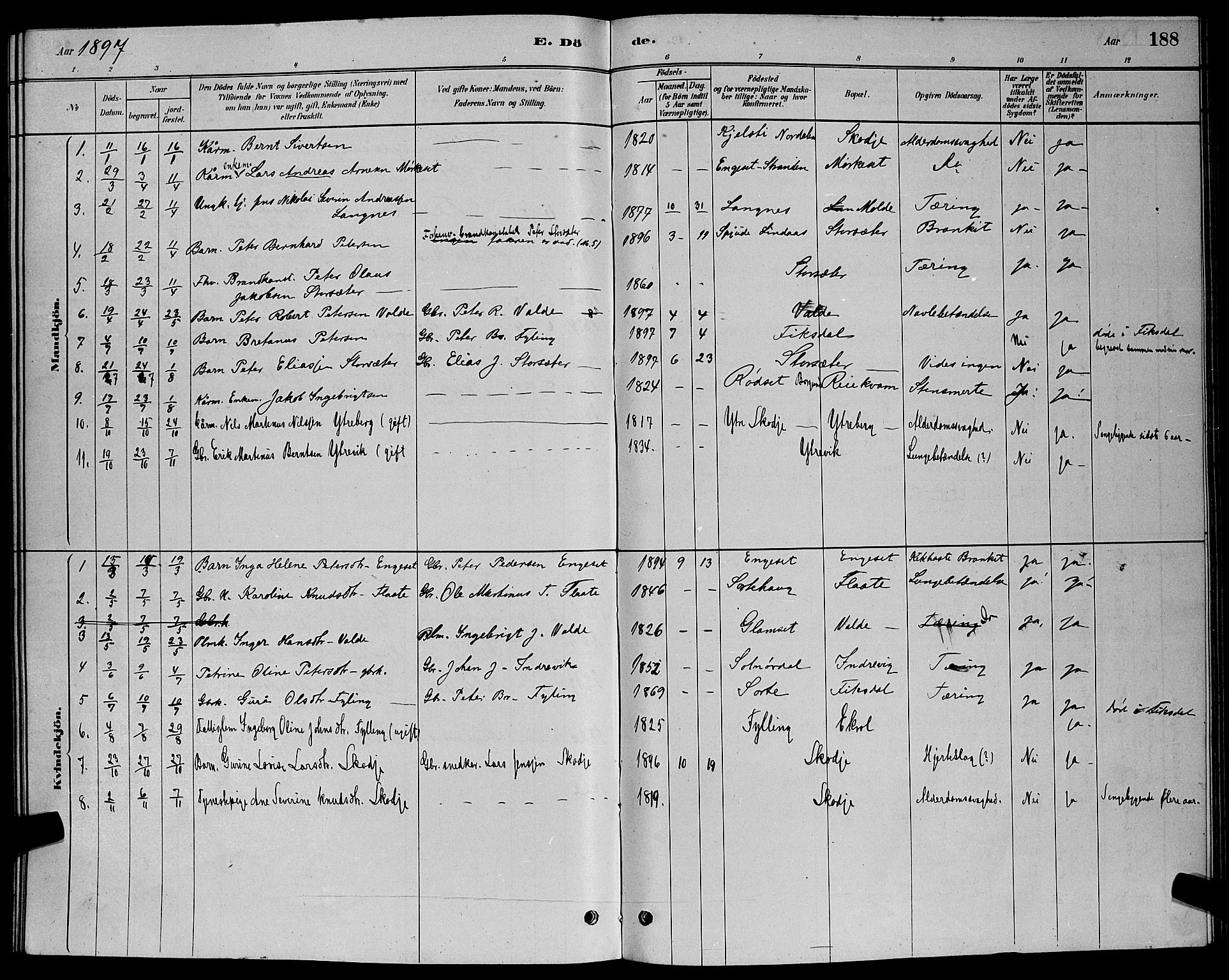 Ministerialprotokoller, klokkerbøker og fødselsregistre - Møre og Romsdal, AV/SAT-A-1454/524/L0365: Parish register (copy) no. 524C06, 1880-1899, p. 188