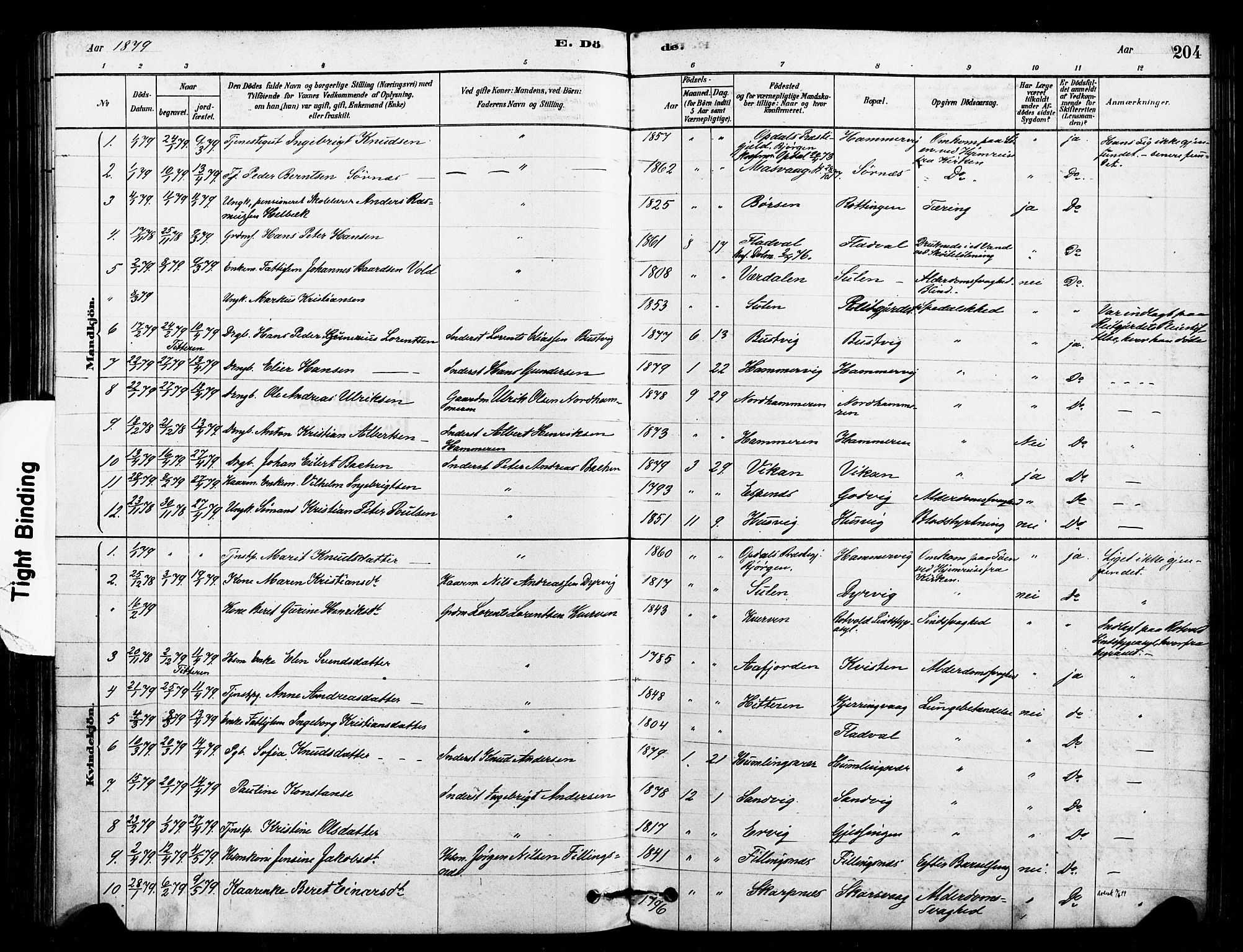 Ministerialprotokoller, klokkerbøker og fødselsregistre - Sør-Trøndelag, SAT/A-1456/640/L0578: Parish register (official) no. 640A03, 1879-1889, p. 204