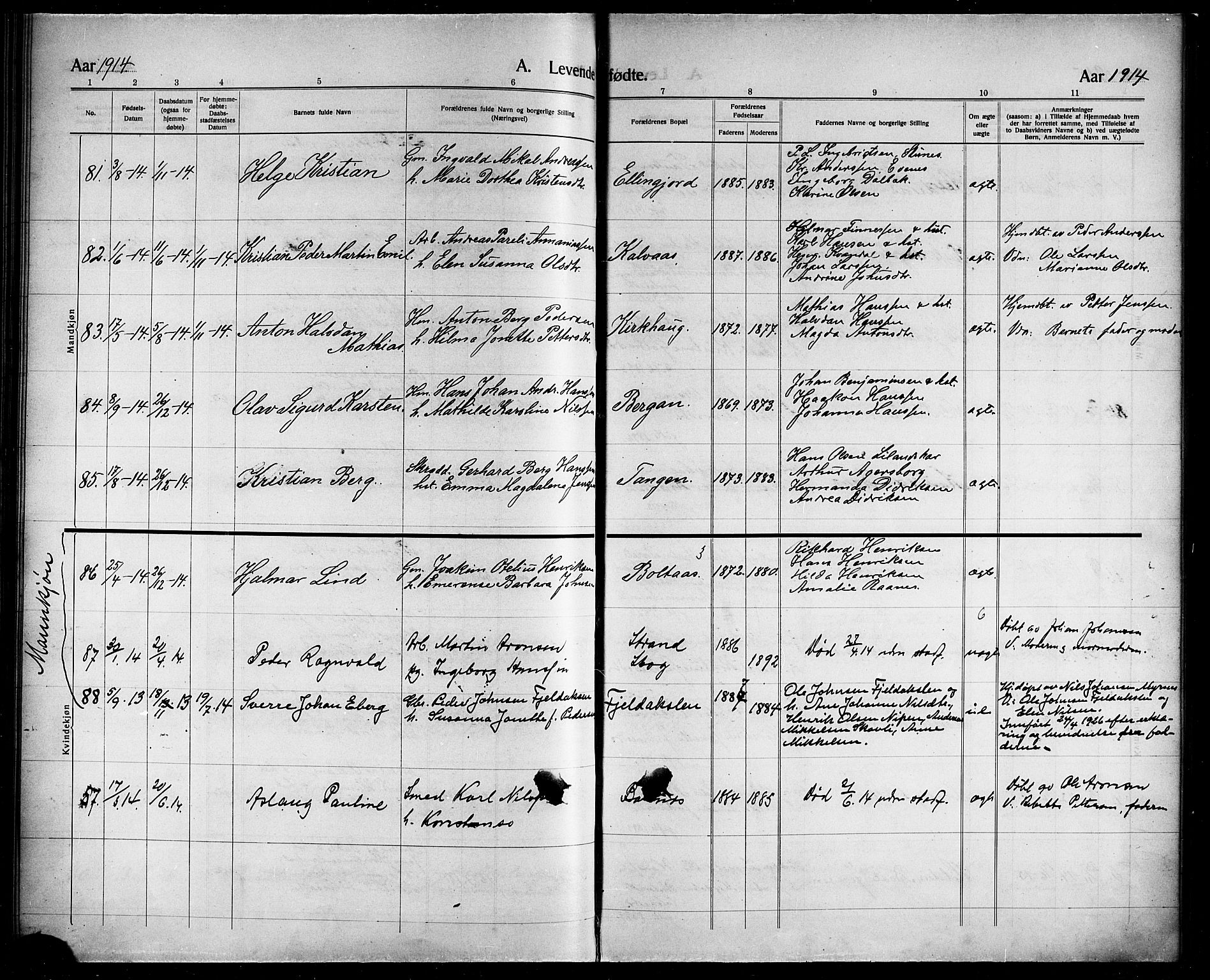 Ministerialprotokoller, klokkerbøker og fødselsregistre - Nordland, AV/SAT-A-1459/863/L0916: Parish register (copy) no. 863C06, 1907-1921