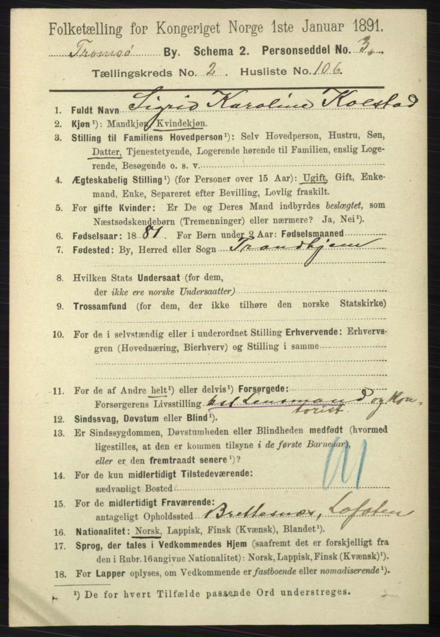 RA, 1891 census for 1902 Tromsø, 1891, p. 2989