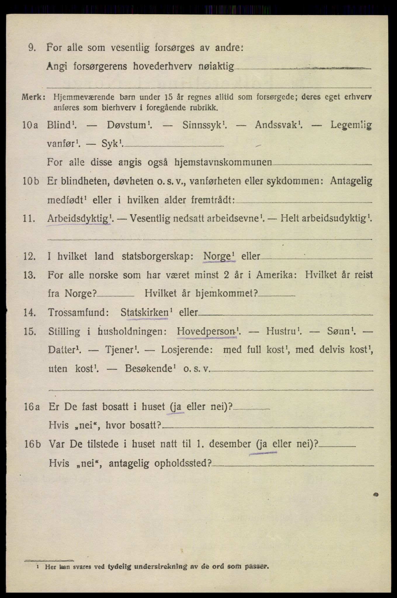 SAH, 1920 census for Åsnes, 1920, p. 13345