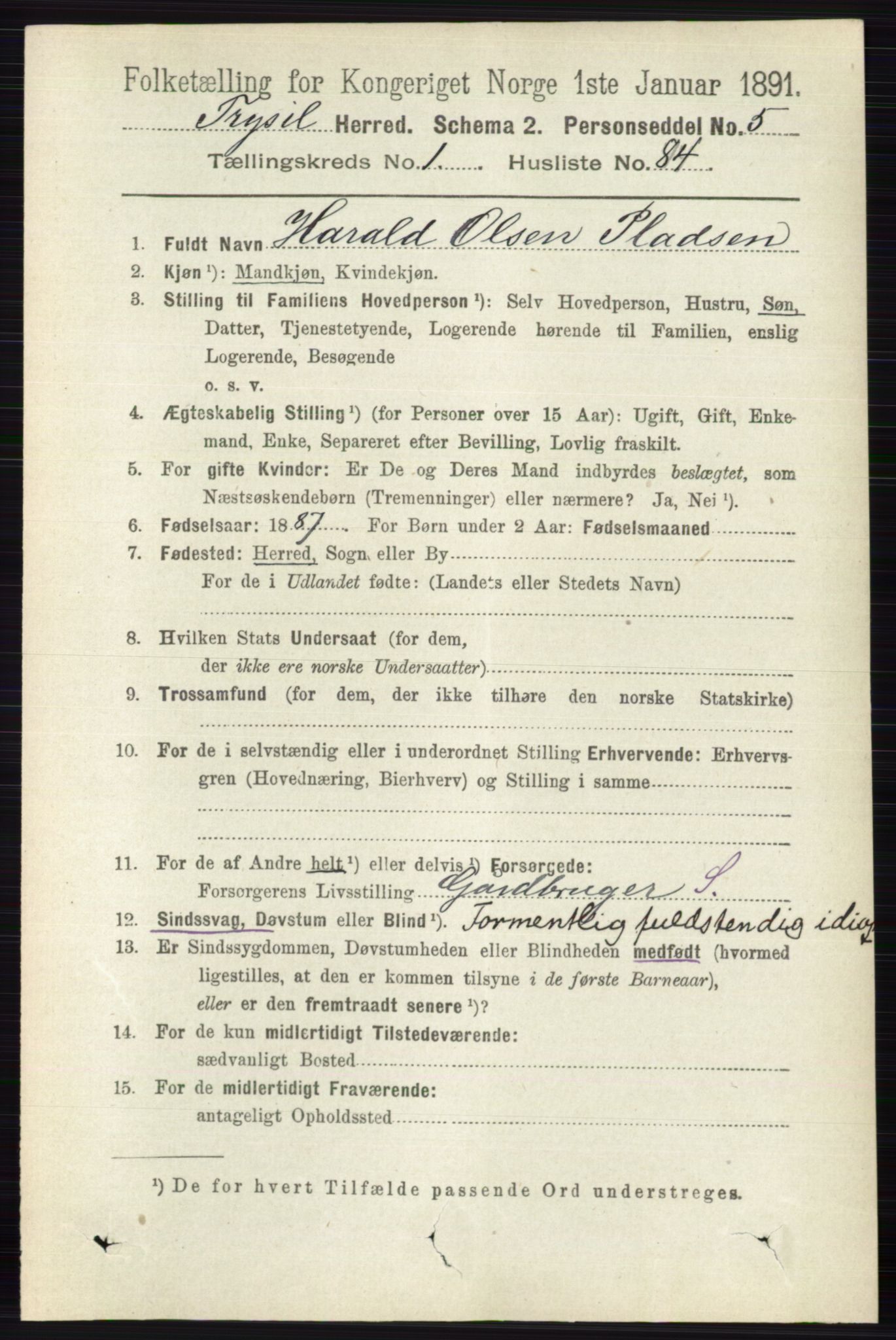 RA, 1891 census for 0428 Trysil, 1891, p. 647