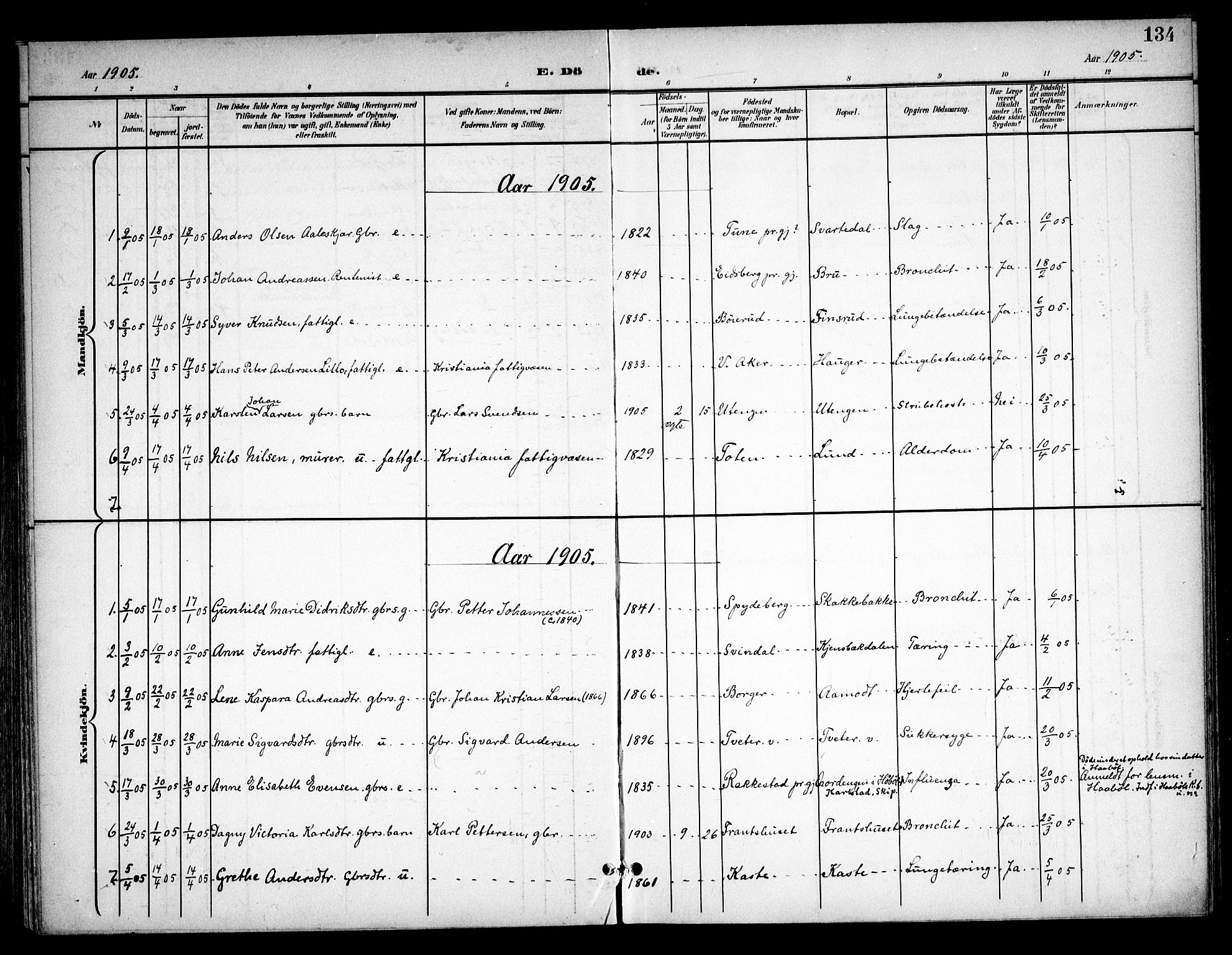 Skiptvet prestekontor Kirkebøker, AV/SAO-A-20009/F/Fa/L0011: Parish register (official) no. 11, 1901-1913, p. 134