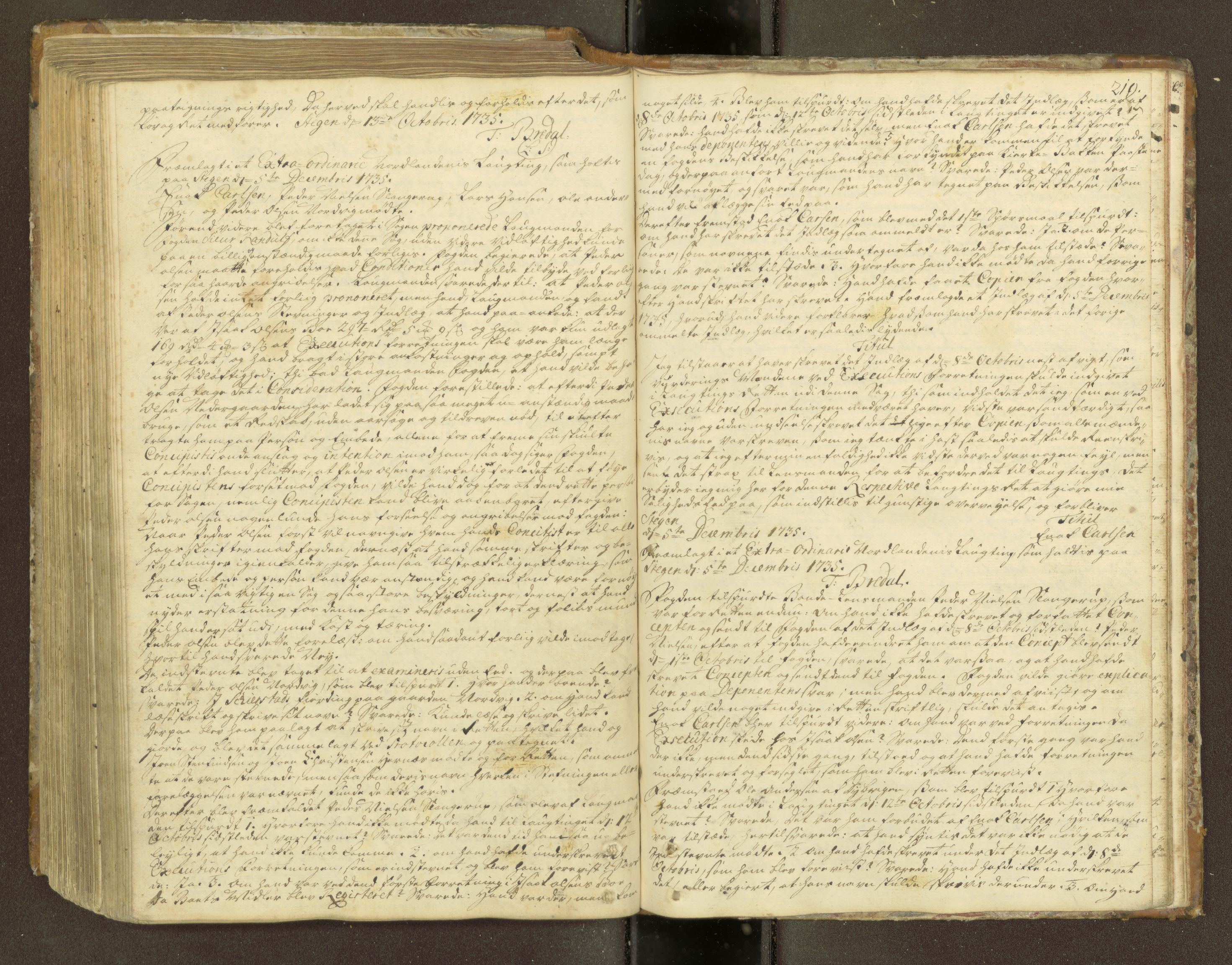 Nordland og Finnmarks lagstol, AV/SAT-A-5608/X/L0011: Domkopibok/justisprotokoll, 1733-1736, p. 218b-219a