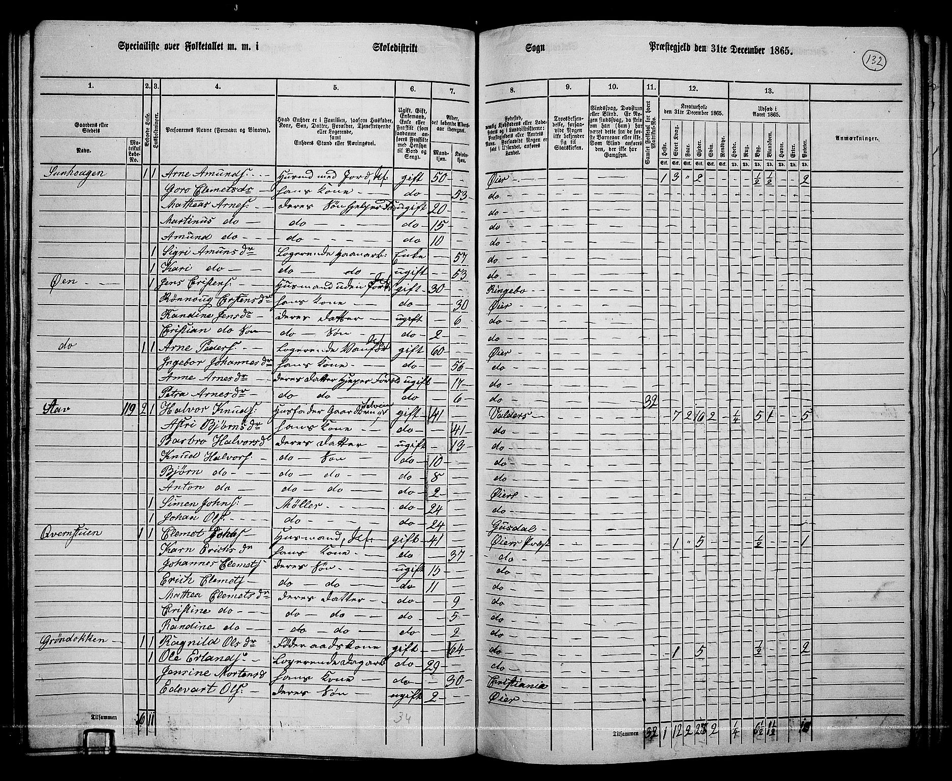 RA, 1865 census for Øyer, 1865, p. 118