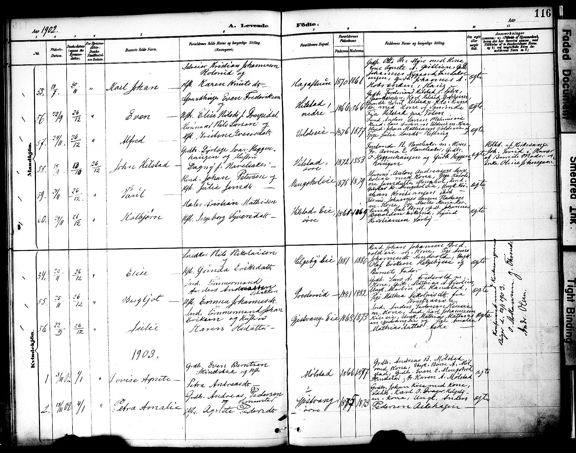 Nes prestekontor, Hedmark, AV/SAH-PREST-020/K/Ka/L0009: Parish register (official) no. 9, 1887-1905, p. 116