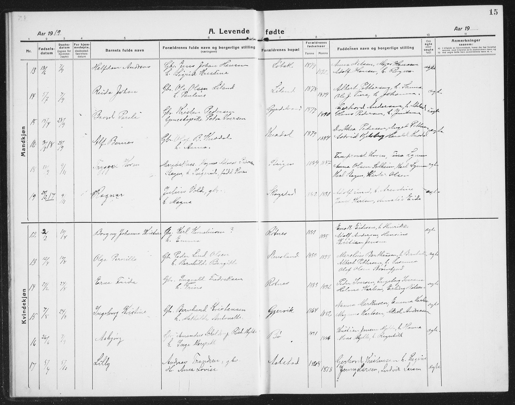 Ministerialprotokoller, klokkerbøker og fødselsregistre - Nordland, AV/SAT-A-1459/855/L0817: Parish register (copy) no. 855C06, 1917-1934, p. 15