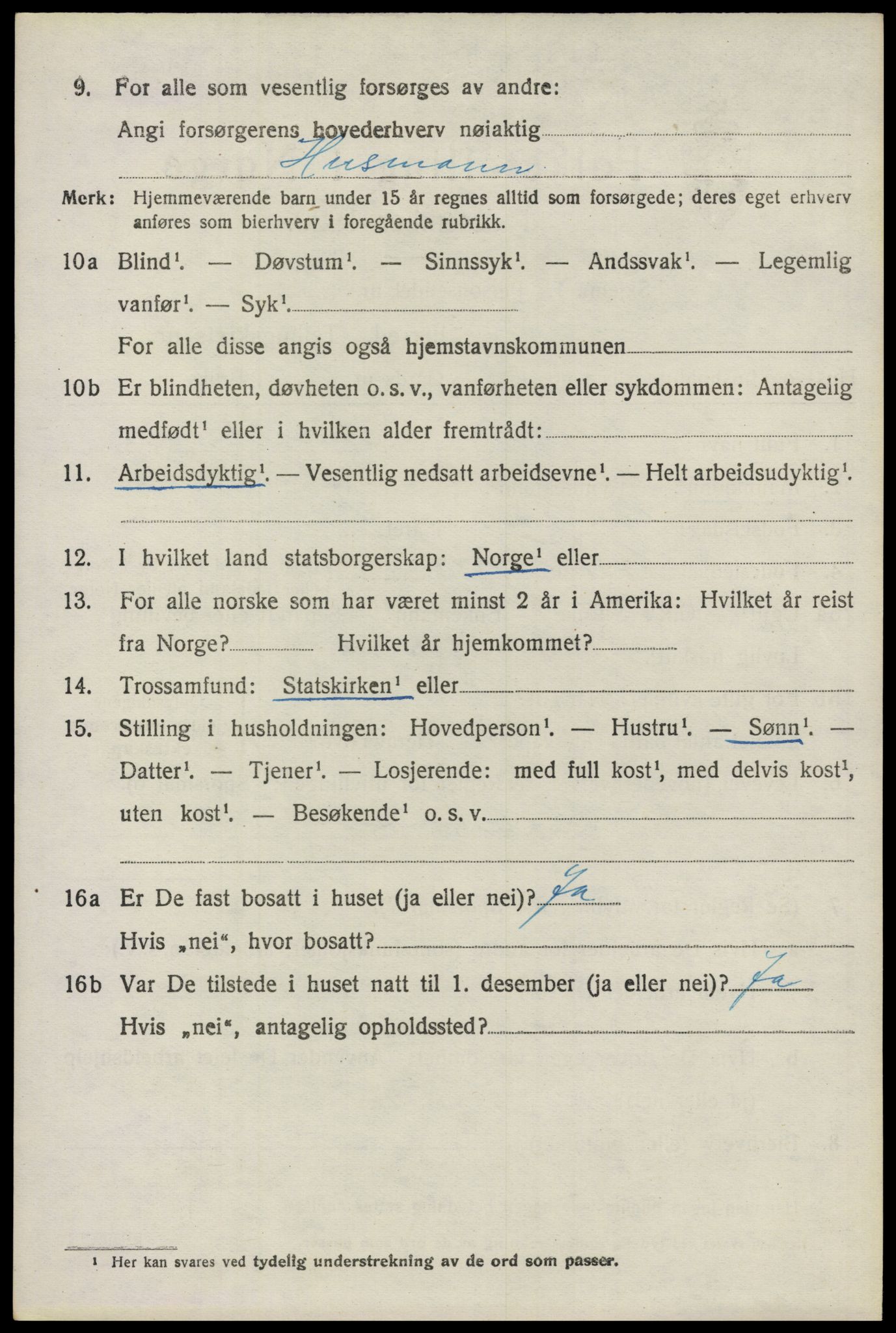 SAO, 1920 census for Nes, 1920, p. 9649