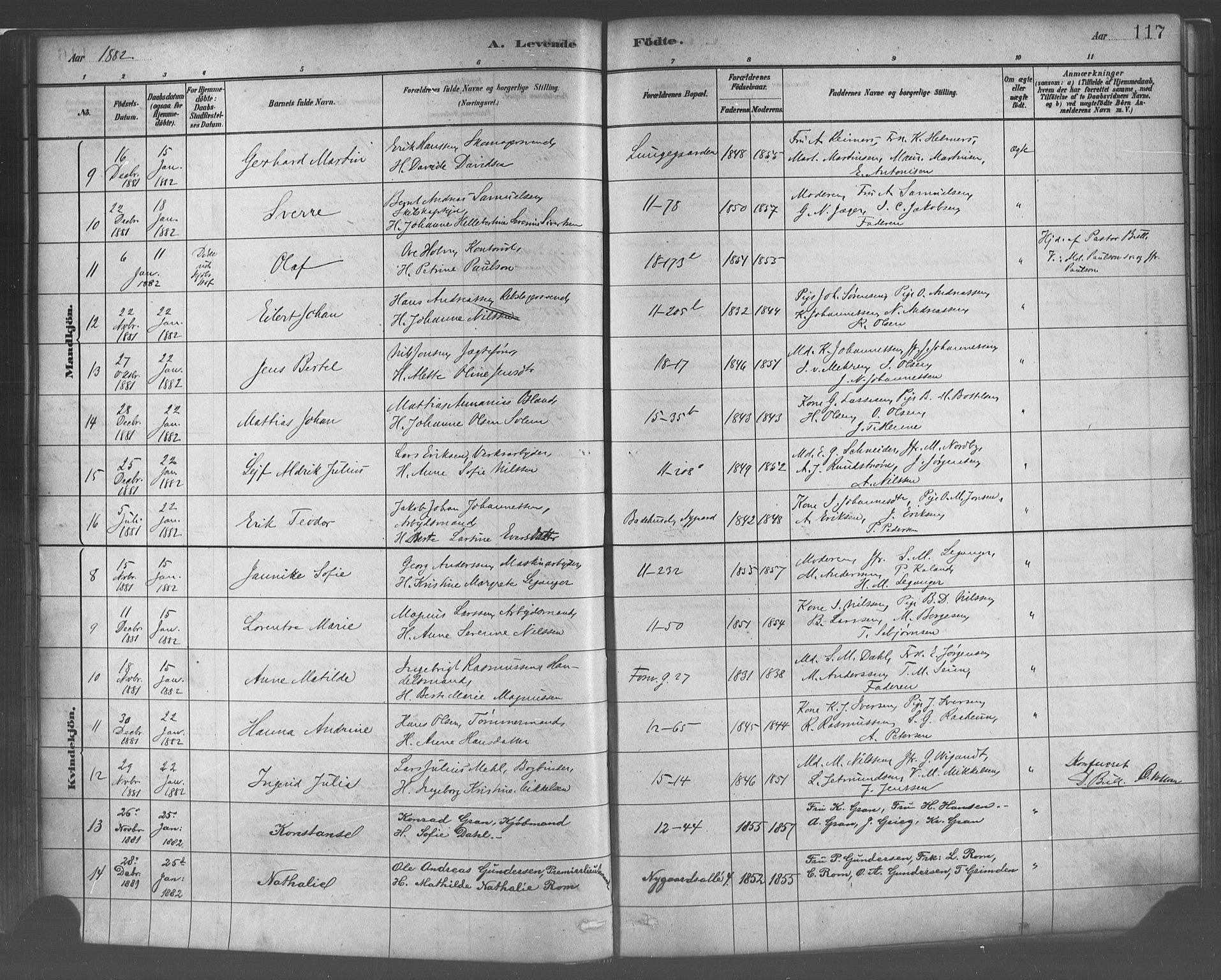 Domkirken sokneprestembete, SAB/A-74801/H/Haa/L0023: Parish register (official) no. B 6, 1879-1887, p. 117