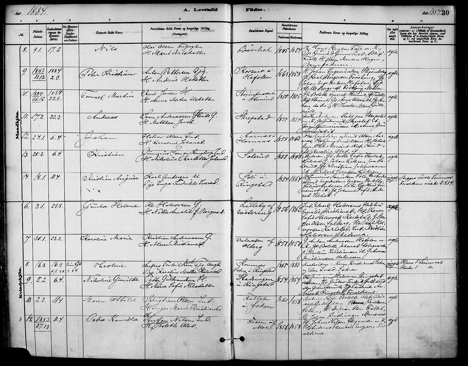 Høland prestekontor Kirkebøker, SAO/A-10346a/F/Fa/L0013: Parish register (official) no. I 13, 1880-1897, p. 30
