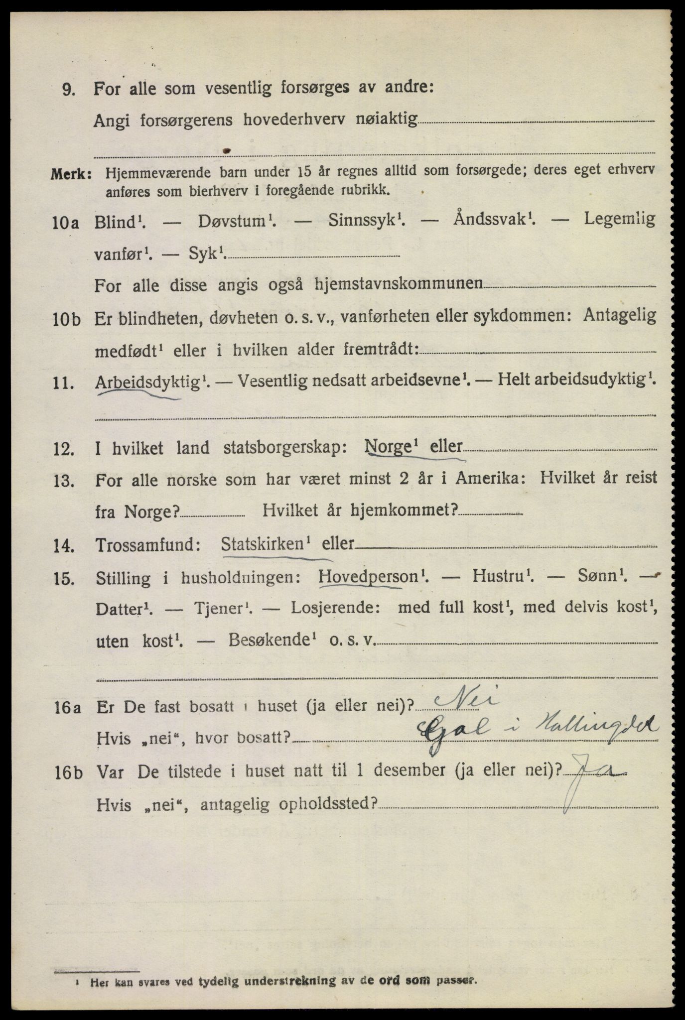 SAKO, 1920 census for Strømm, 1920, p. 2016