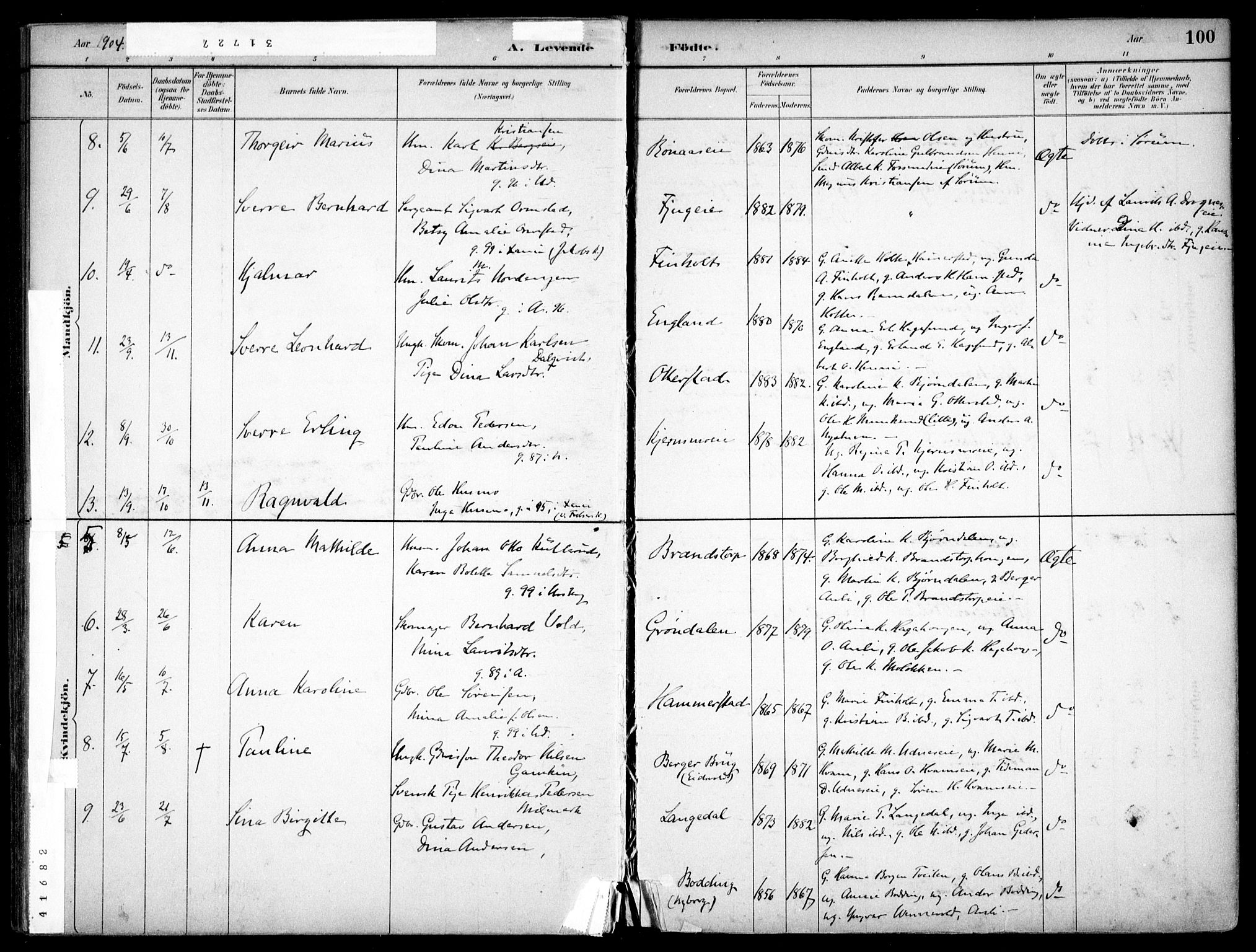 Nes prestekontor Kirkebøker, SAO/A-10410/F/Fc/L0002: Parish register (official) no. IIi 2, 1882-1916, p. 100