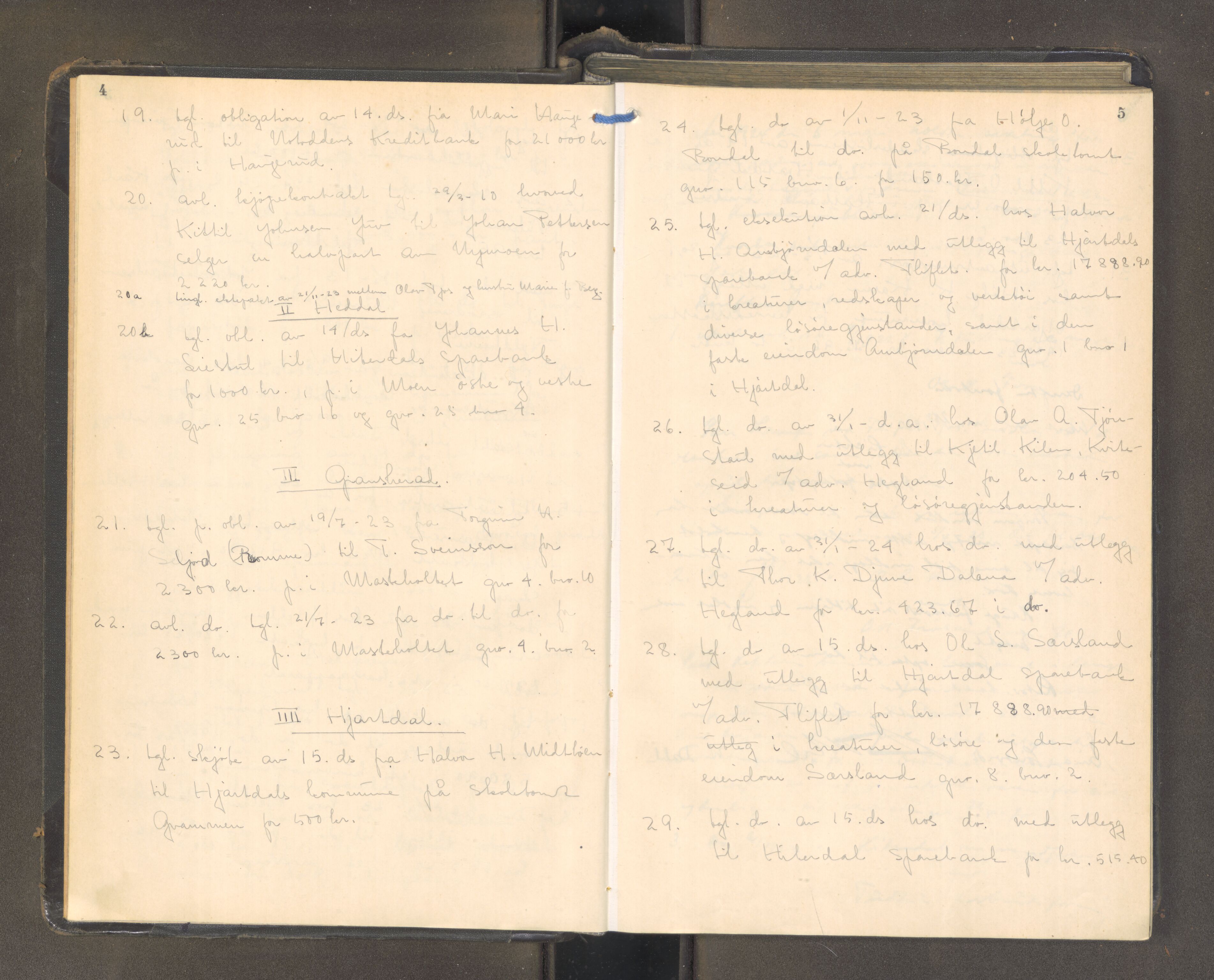 Heddal sorenskriveri, AV/SAKO-A-211/F/Fa/Faa/L0002: Tingbok, 1924-1925, p. 4-5
