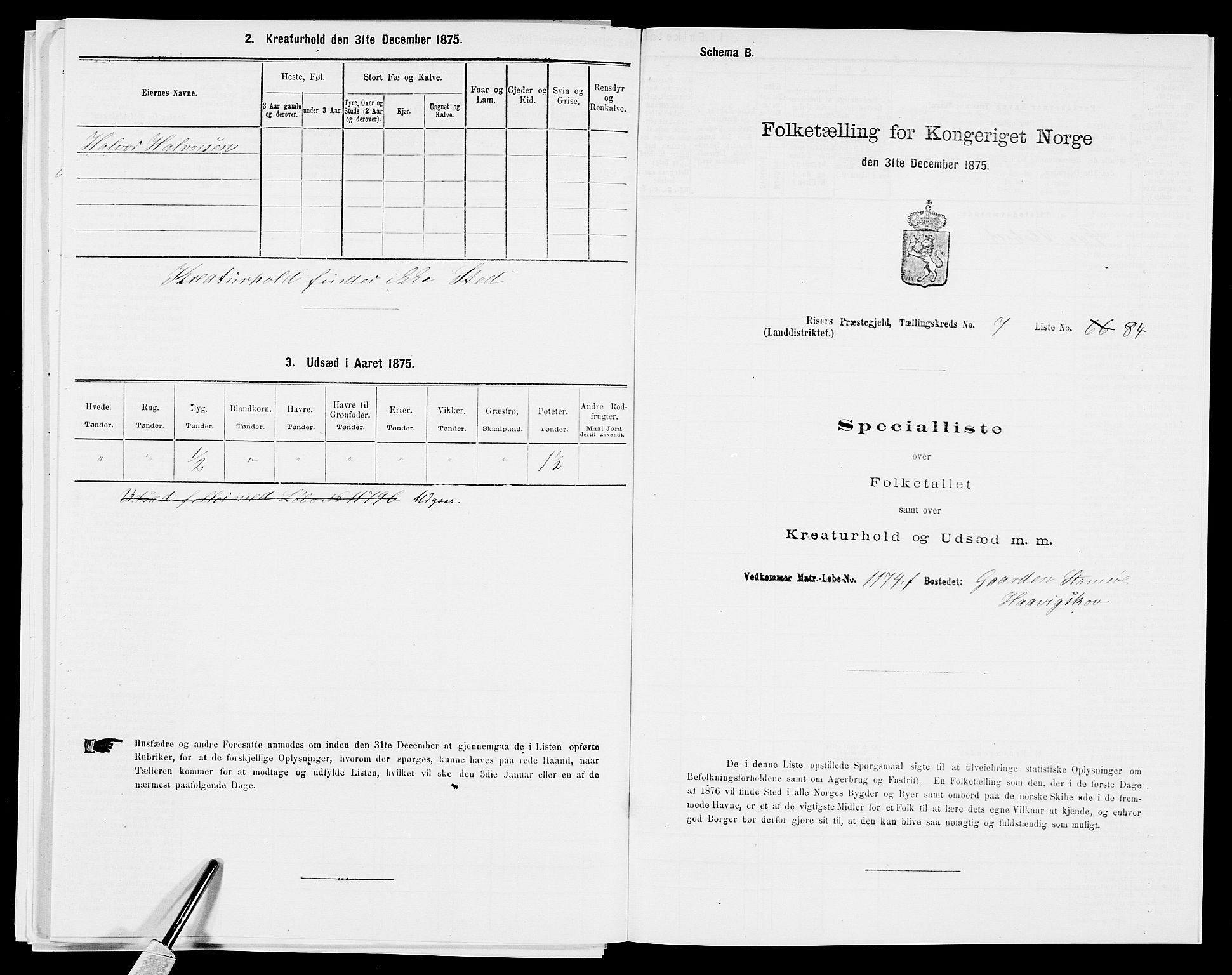 SAK, 1875 census for 0913L Risør/Søndeled, 1875, p. 1253