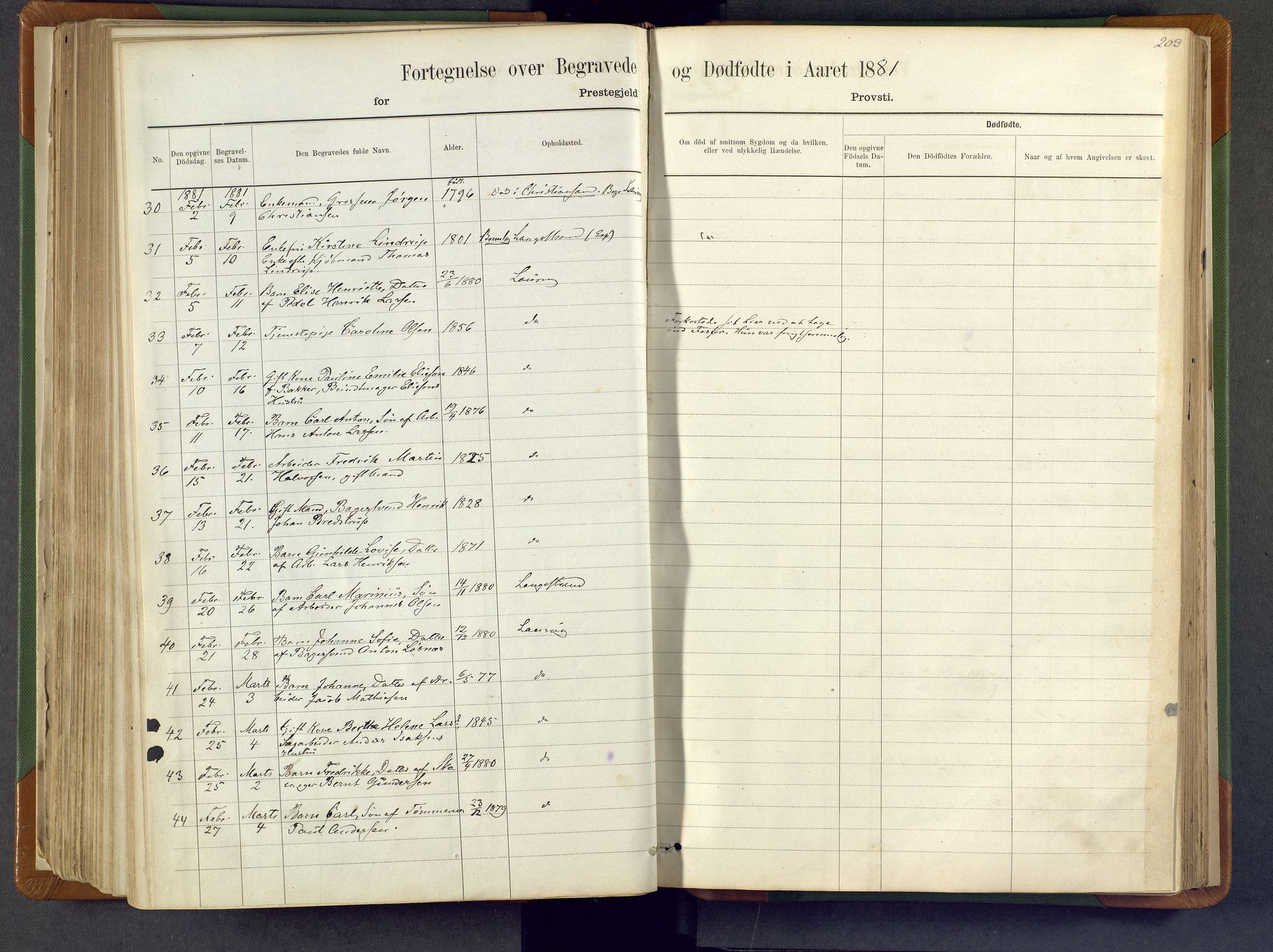 Larvik kirkebøker, AV/SAKO-A-352/F/Fa/L0007: Parish register (official) no. I 7, 1871-1883, p. 203