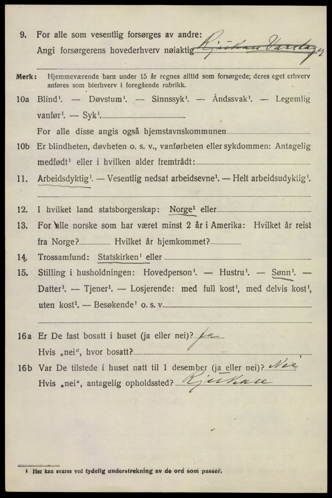 SAKO, 1920 census for Brunlanes, 1920, p. 9258