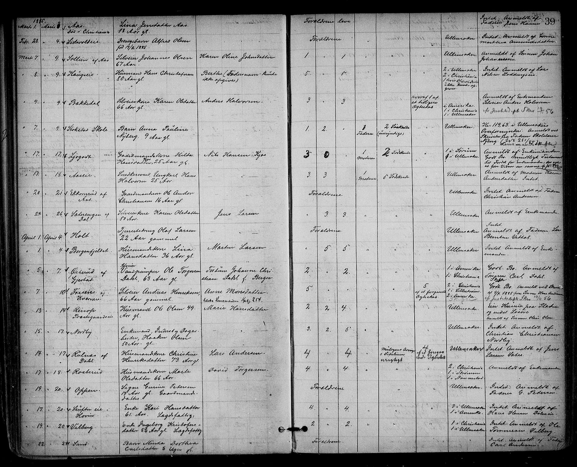 Nes tingrett, AV/SAO-A-10548/H/Ha/Haa/L0001: Dødsfallsprotokoll, 1876-1905, p. 39