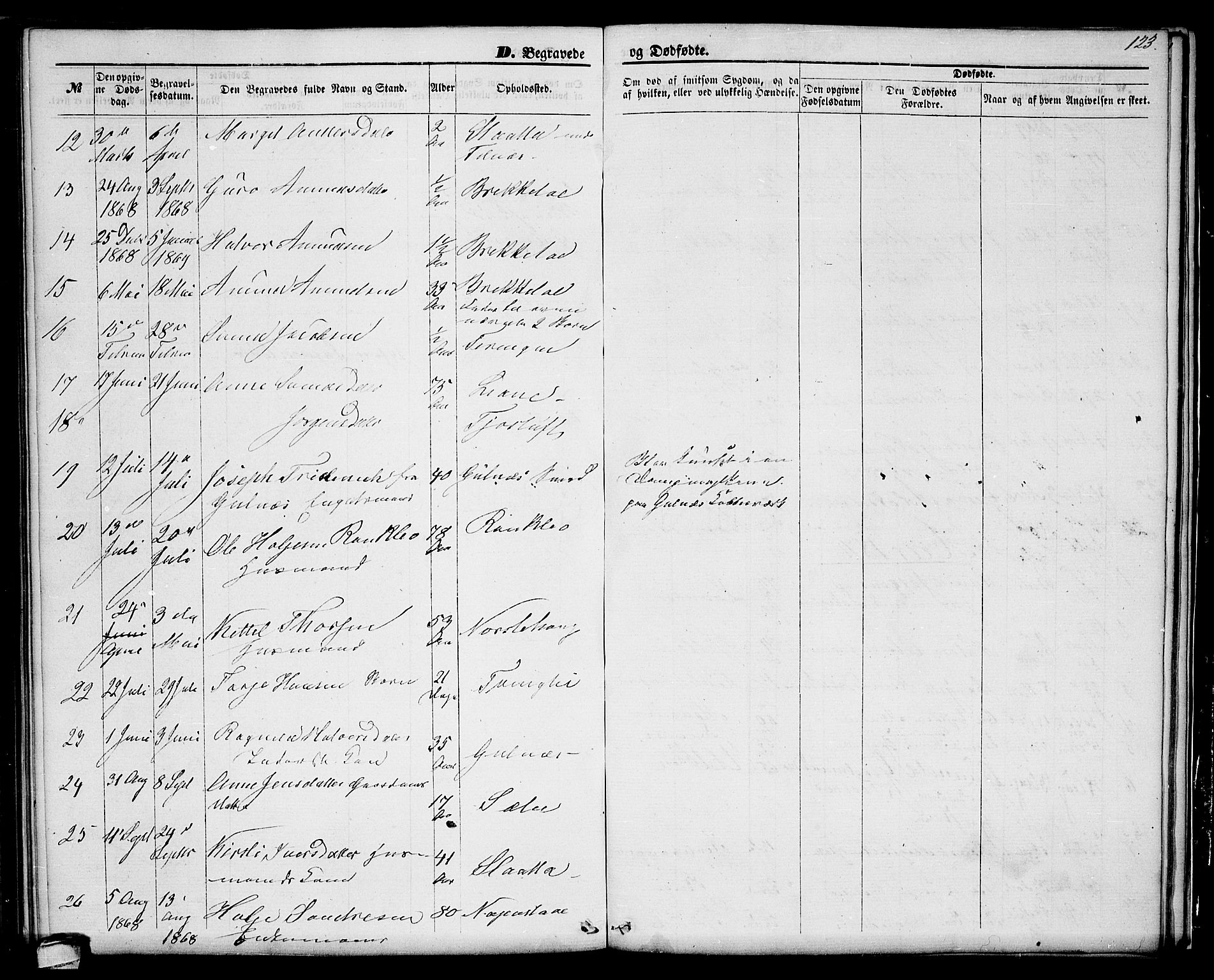Seljord kirkebøker, SAKO/A-20/G/Ga/L0003: Parish register (copy) no. I 3, 1866-1873, p. 123