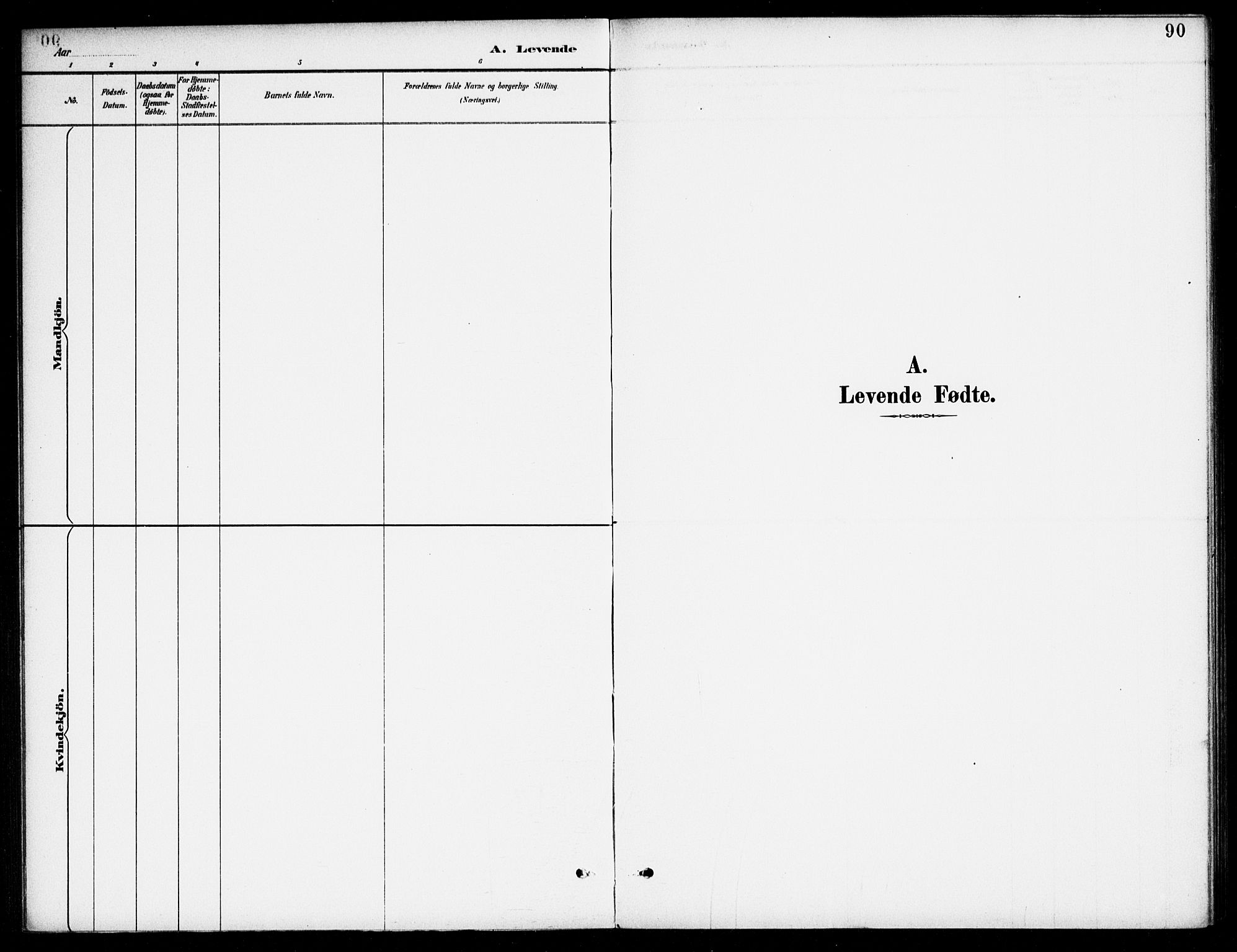 Bjelland sokneprestkontor, AV/SAK-1111-0005/F/Fa/Fab/L0004: Parish register (official) no. A 4, 1887-1920, p. 90