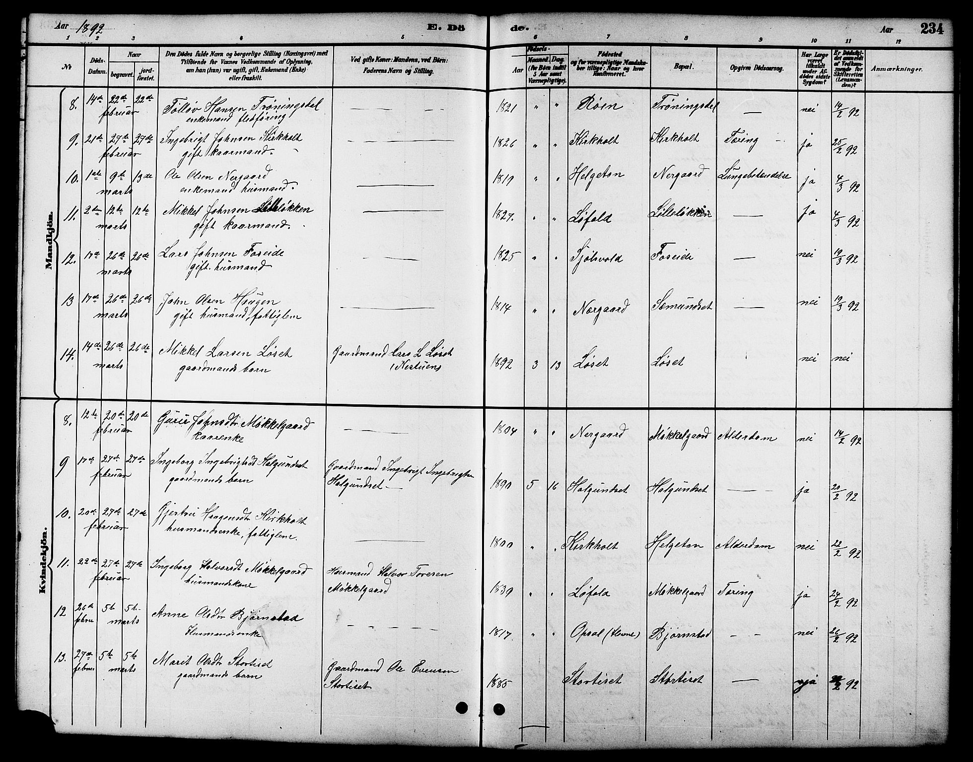 Ministerialprotokoller, klokkerbøker og fødselsregistre - Møre og Romsdal, AV/SAT-A-1454/598/L1078: Parish register (copy) no. 598C03, 1892-1909, p. 234