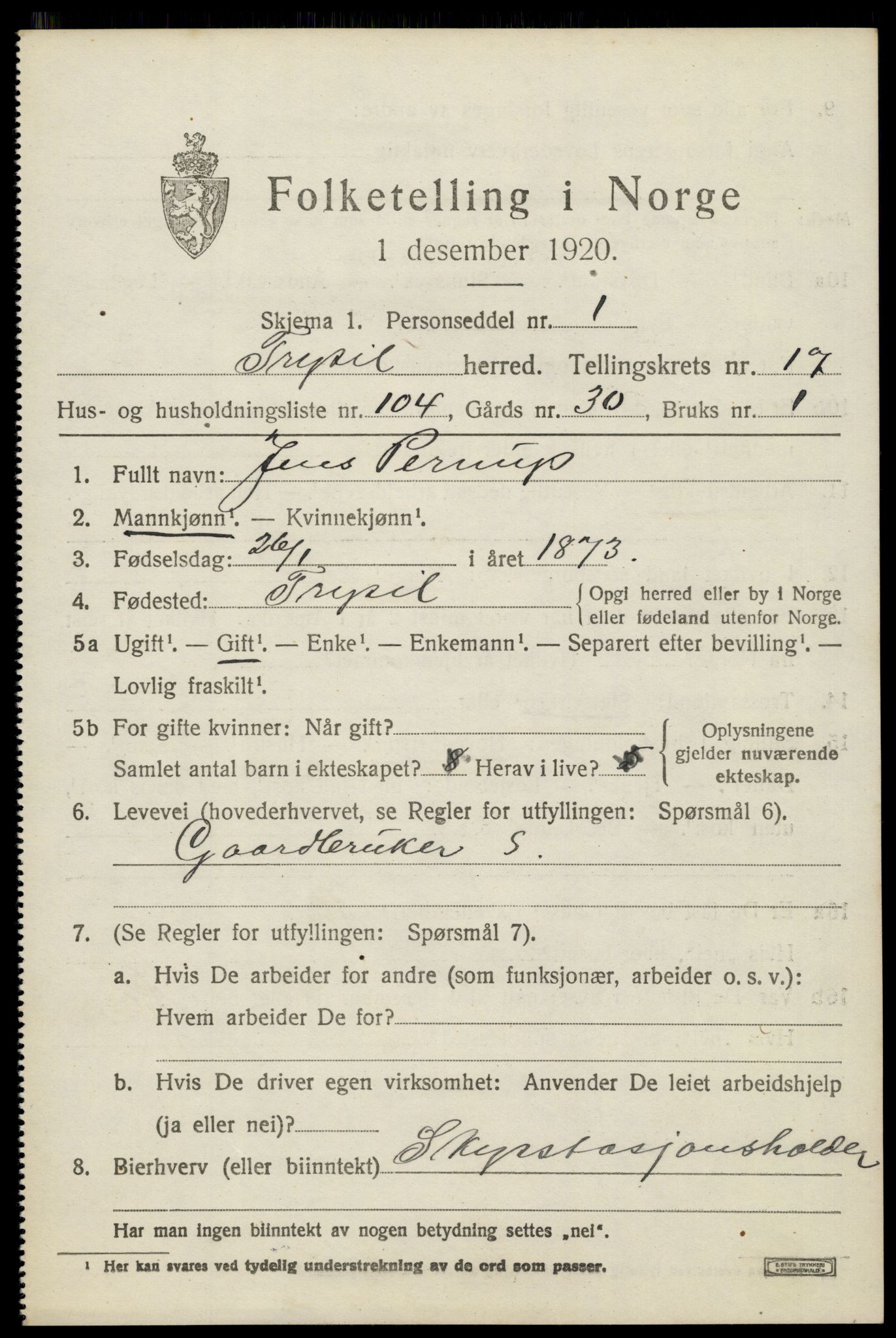 SAH, 1920 census for Trysil, 1920, p. 11383