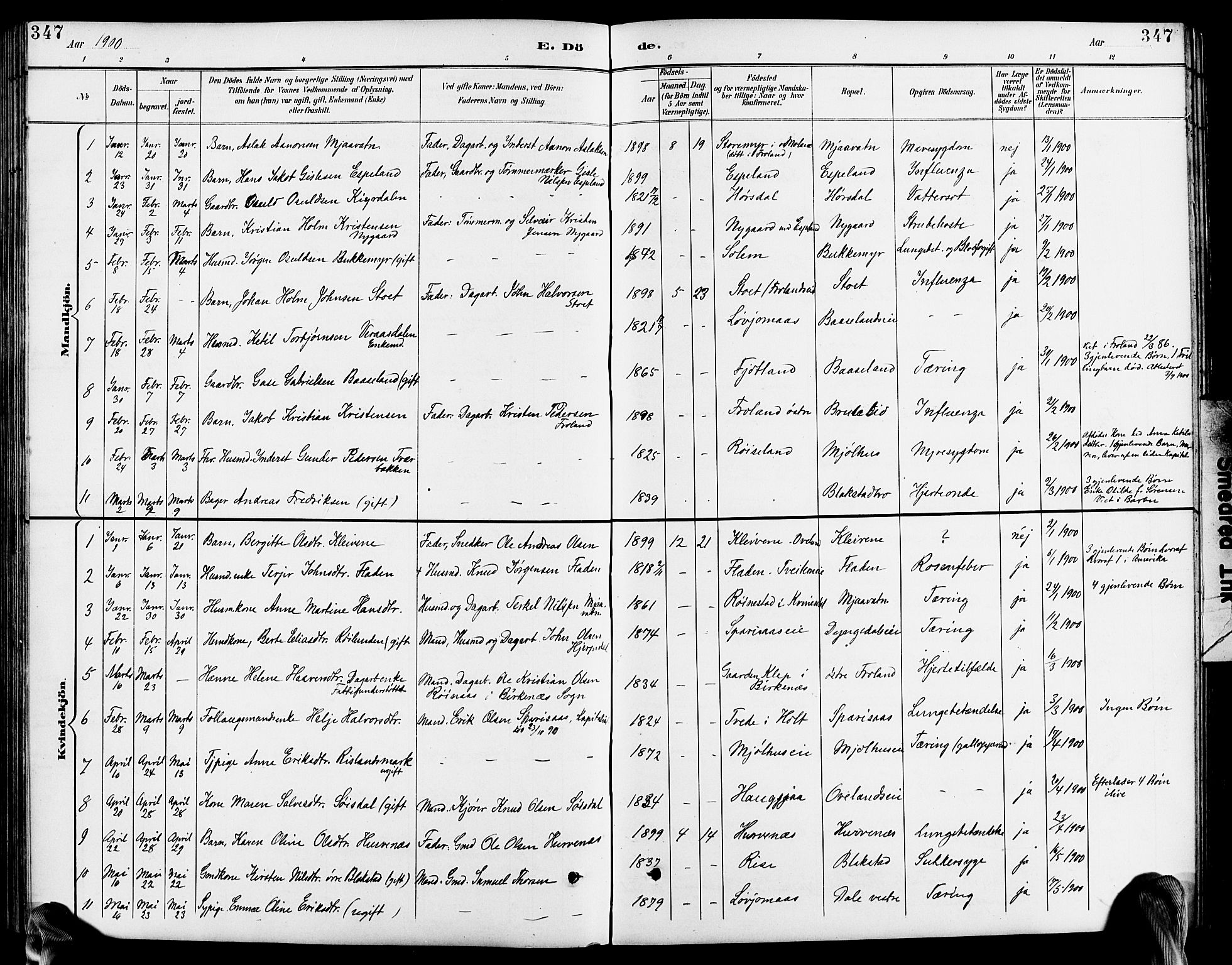 Froland sokneprestkontor, SAK/1111-0013/F/Fb/L0010: Parish register (copy) no. B 10, 1893-1920, p. 347