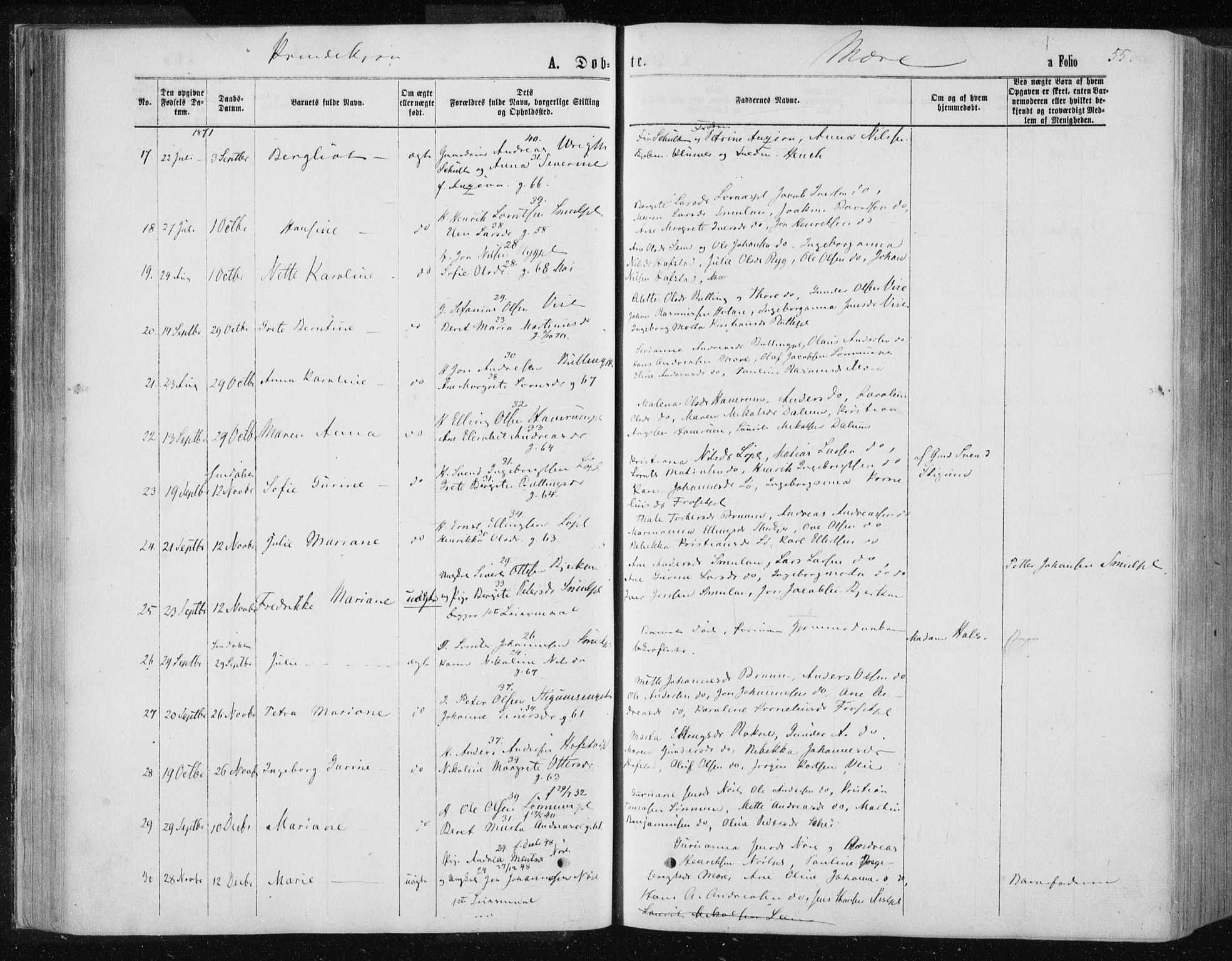 Ministerialprotokoller, klokkerbøker og fødselsregistre - Nord-Trøndelag, AV/SAT-A-1458/735/L0345: Parish register (official) no. 735A08 /1, 1863-1872, p. 55