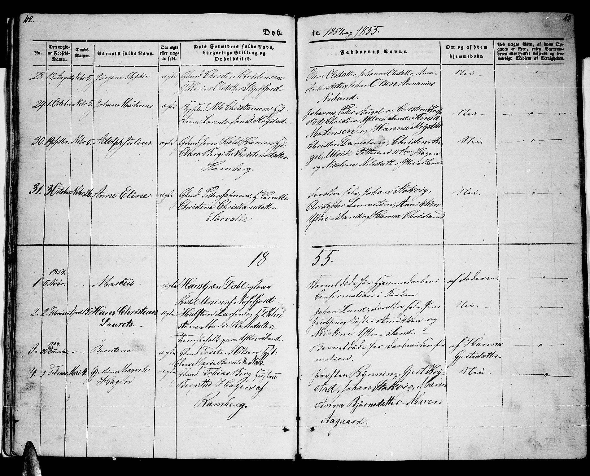 Ministerialprotokoller, klokkerbøker og fødselsregistre - Nordland, AV/SAT-A-1459/885/L1212: Parish register (copy) no. 885C01, 1847-1873, p. 42-43