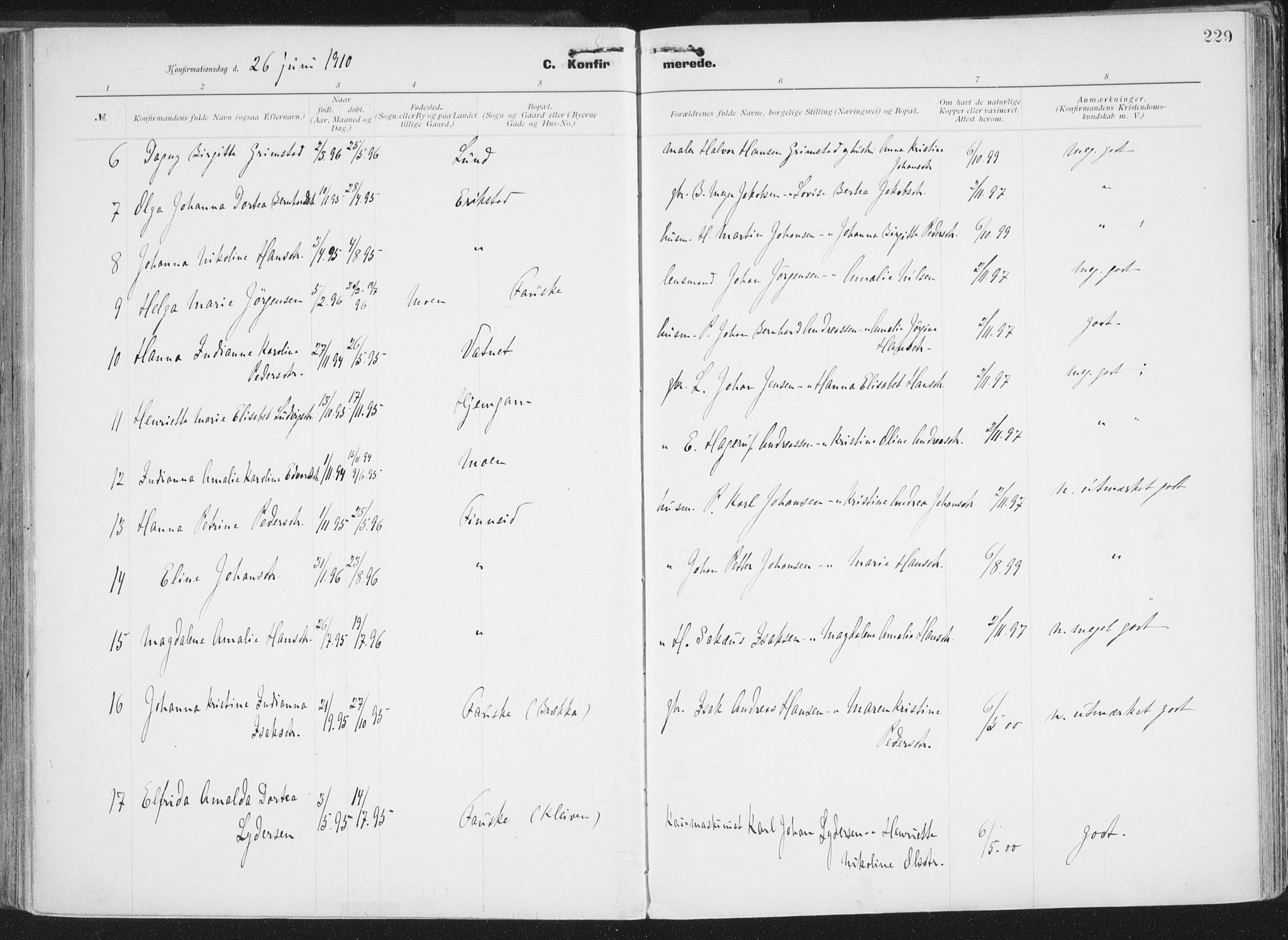 Ministerialprotokoller, klokkerbøker og fødselsregistre - Nordland, AV/SAT-A-1459/849/L0696: Parish register (official) no. 849A08, 1898-1910, p. 229