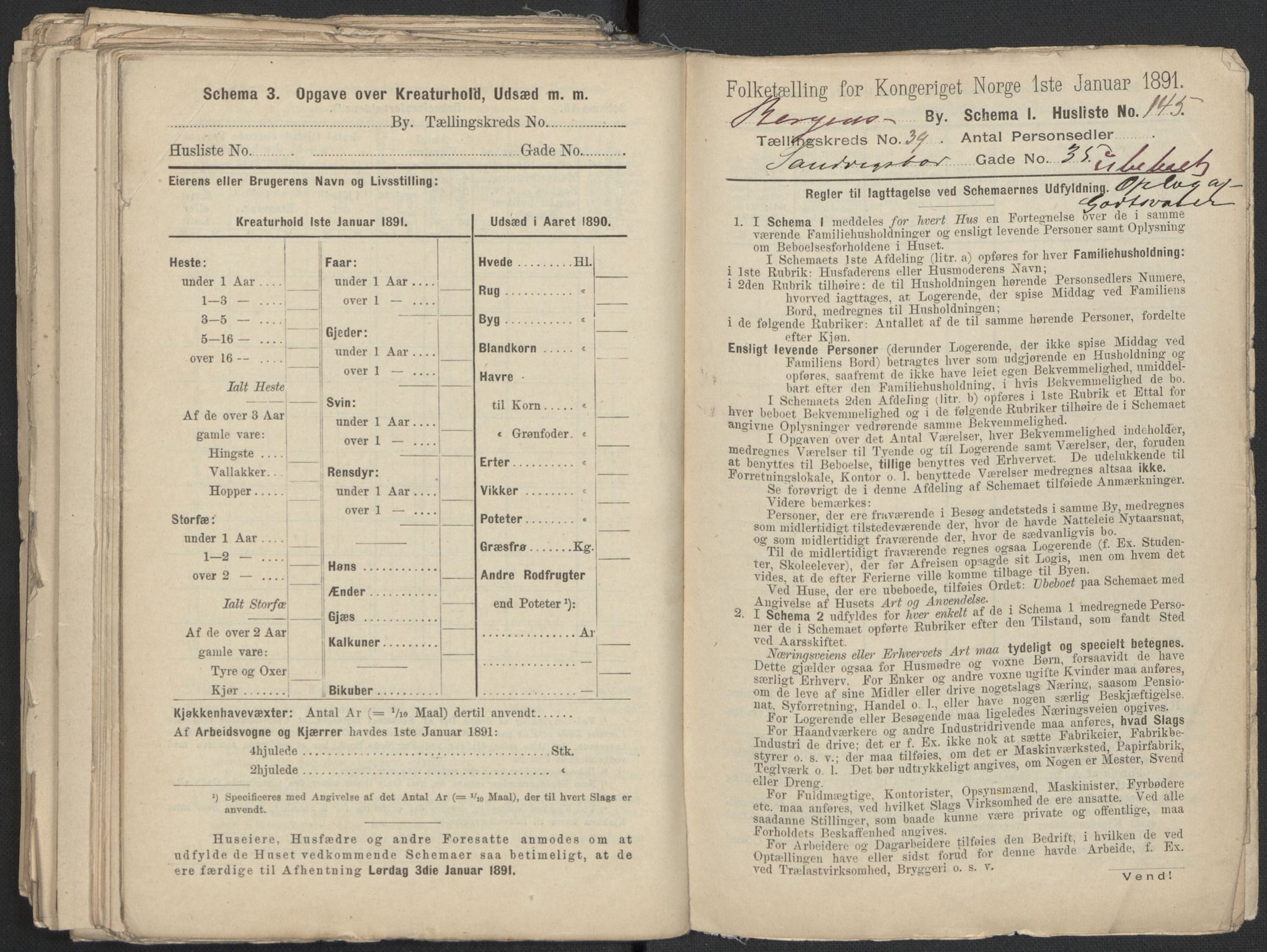 RA, 1891 Census for 1301 Bergen, 1891, p. 6733