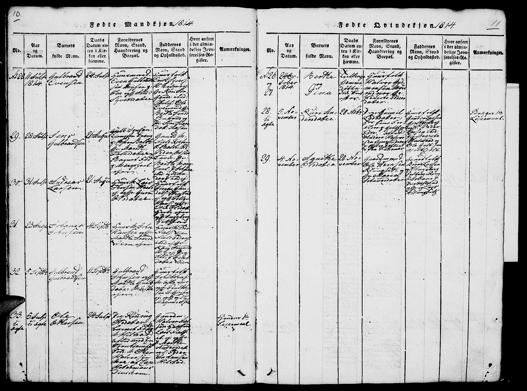 Nes prestekontor, Hedmark, SAH/PREST-020/L/La/L0003: Parish register (copy) no. 3, 1814-1831, p. 10-11