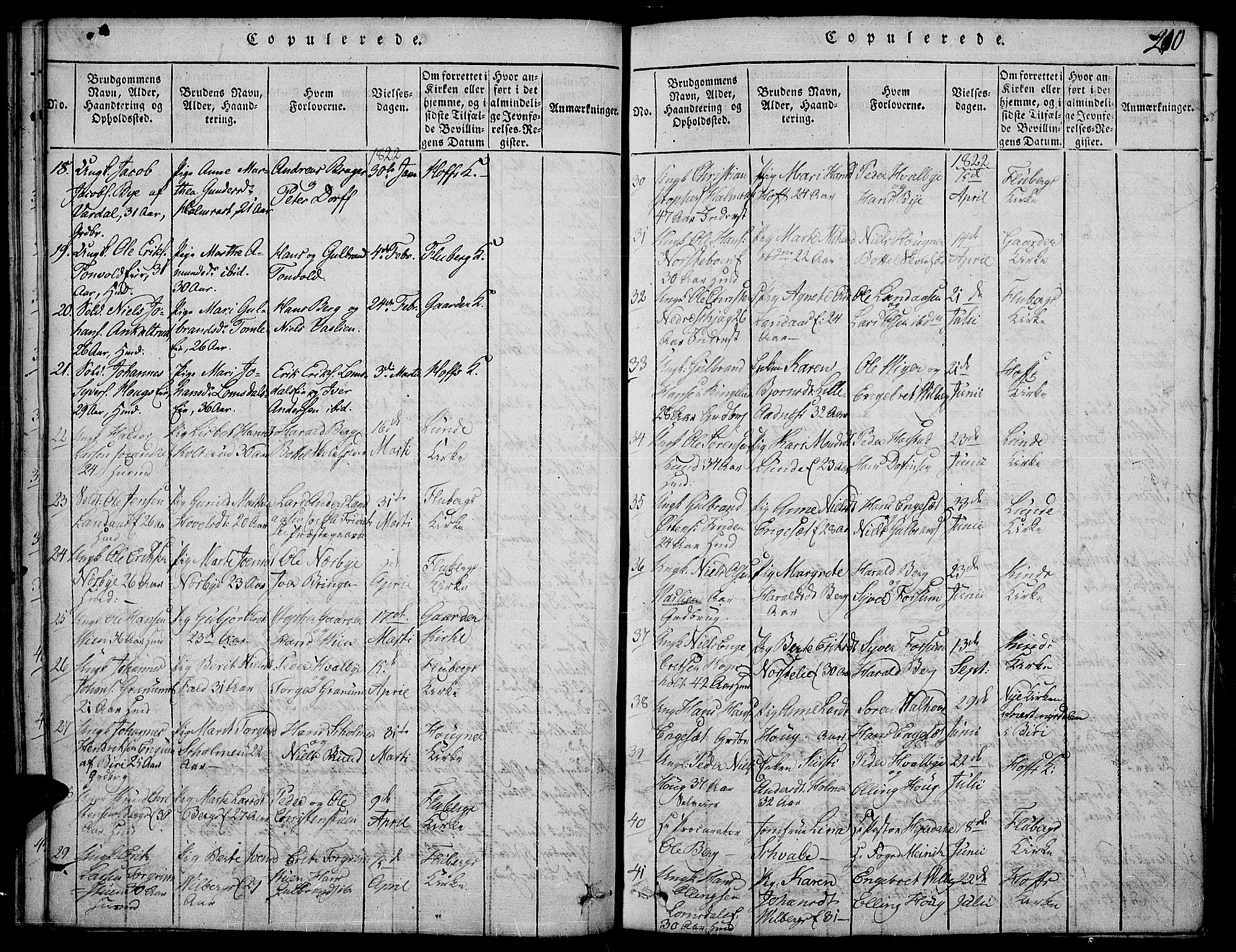 Land prestekontor, SAH/PREST-120/H/Ha/Haa/L0007: Parish register (official) no. 7, 1814-1830, p. 210