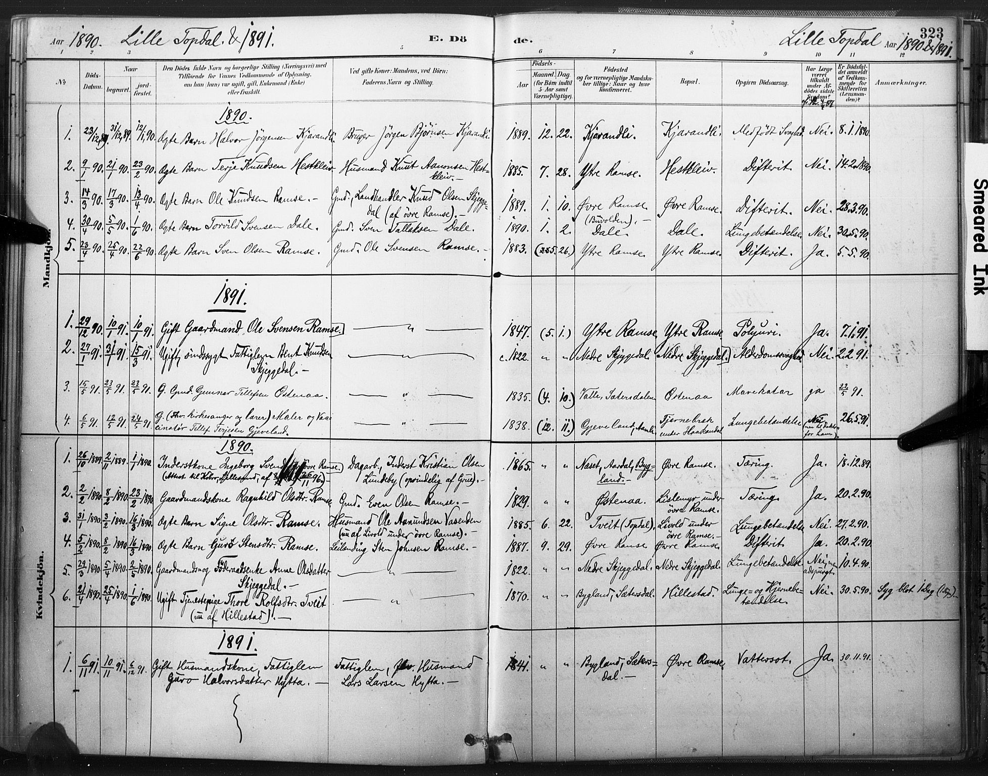 Åmli sokneprestkontor, SAK/1111-0050/F/Fa/Fac/L0010: Parish register (official) no. A 10 /3, 1885-1899, p. 323