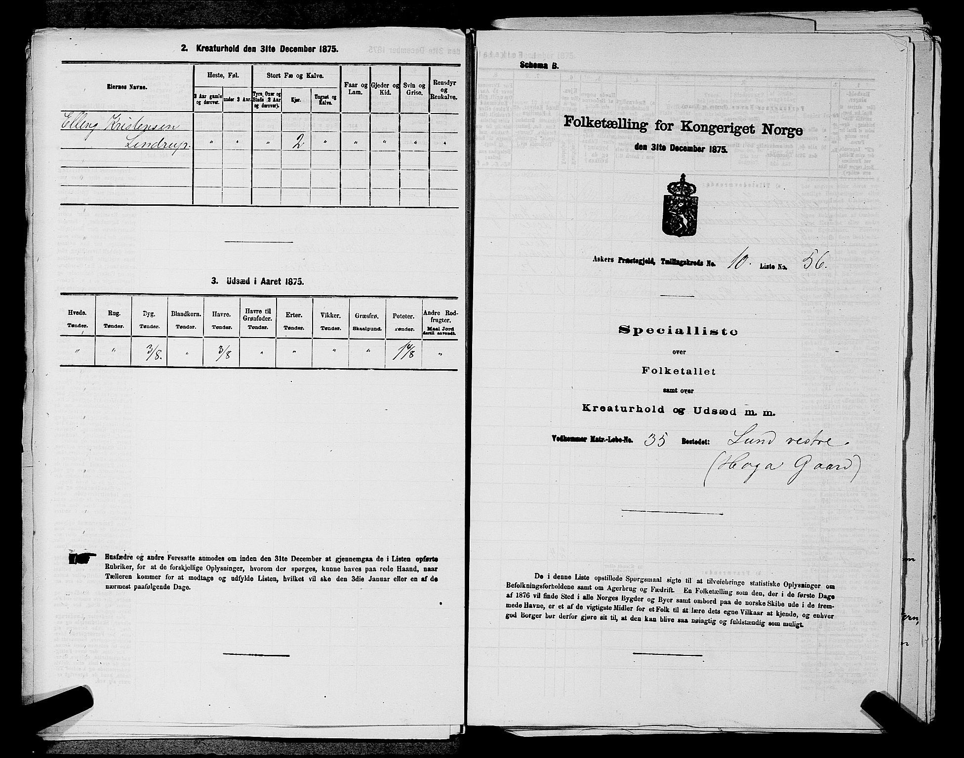 RA, 1875 census for 0220P Asker, 1875, p. 1903