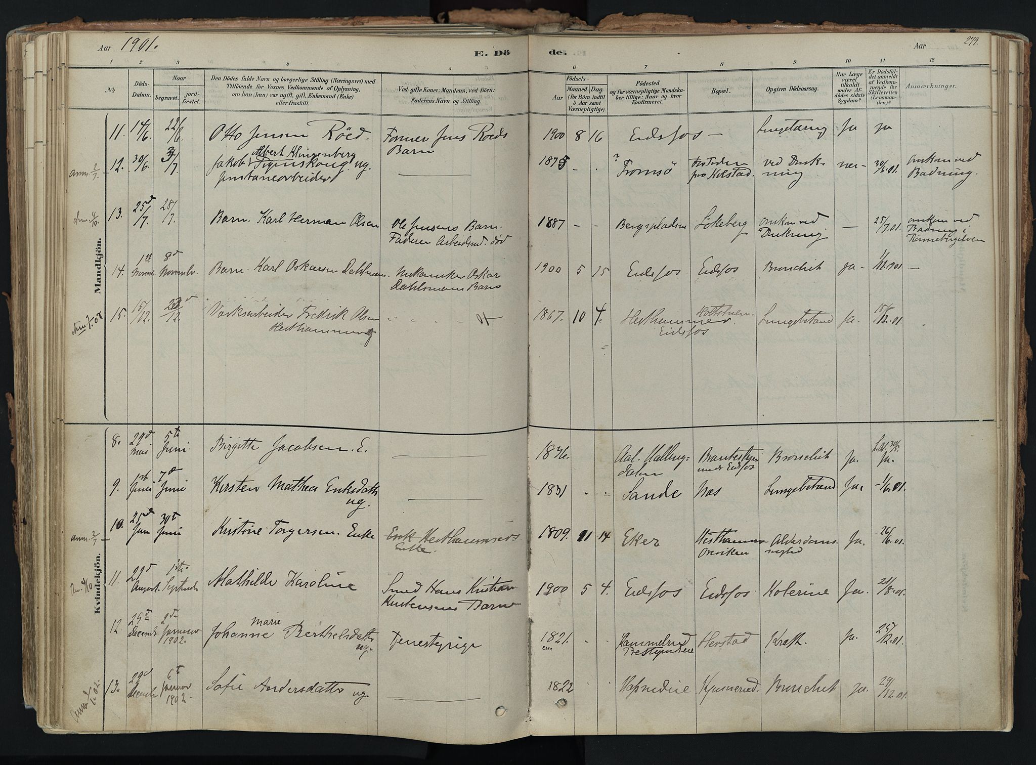 Hof kirkebøker, AV/SAKO-A-64/F/Fa/L0007: Parish register (official) no. I 7, 1878-1940, p. 274