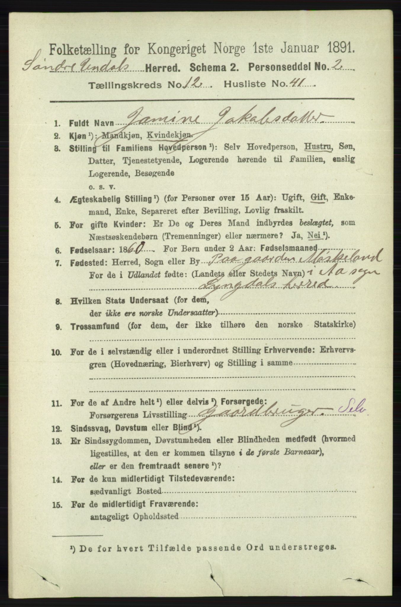 RA, 1891 census for 1029 Sør-Audnedal, 1891, p. 5731