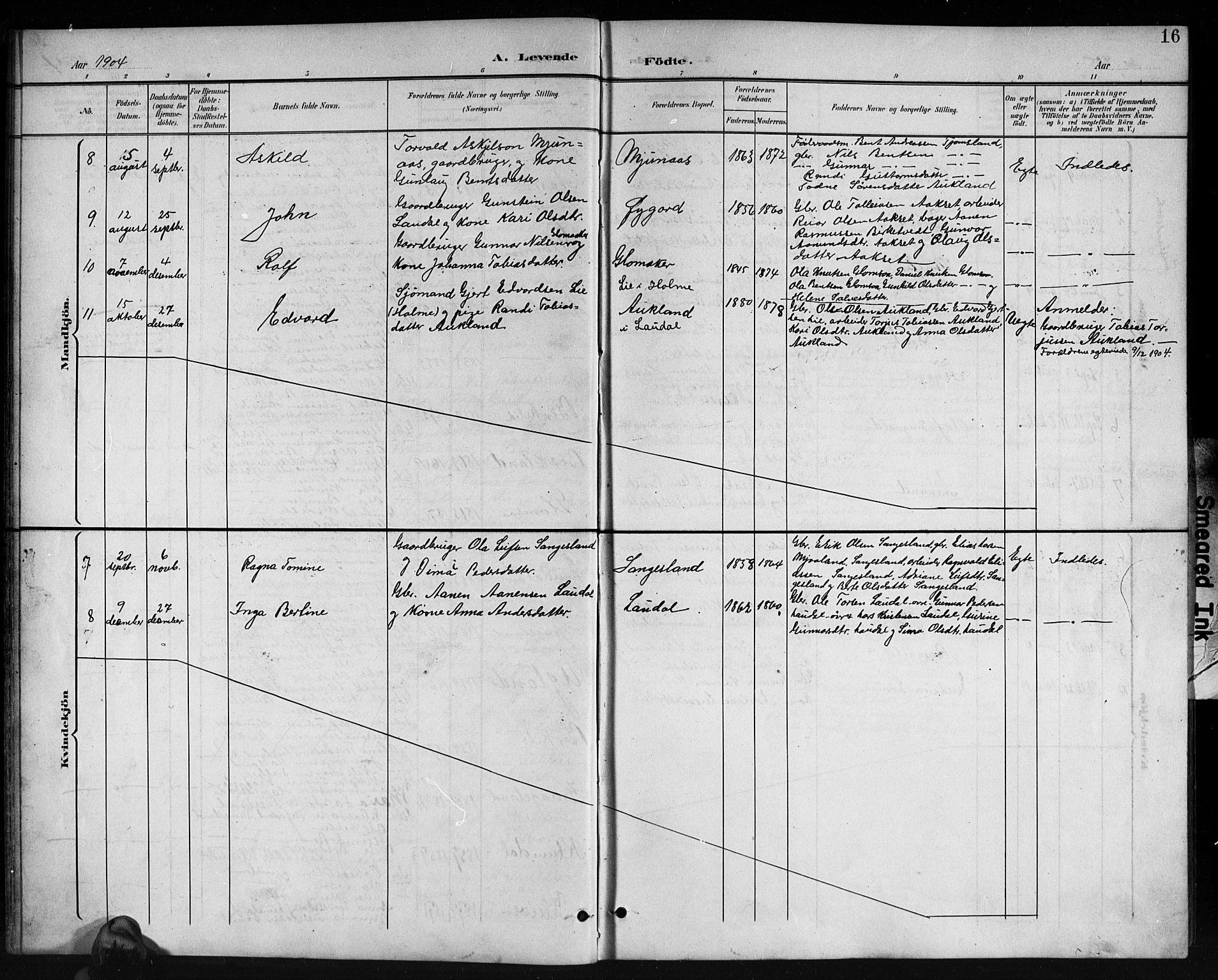 Holum sokneprestkontor, SAK/1111-0022/F/Fb/Fbb/L0004: Parish register (copy) no. B 4, 1899-1920, p. 16