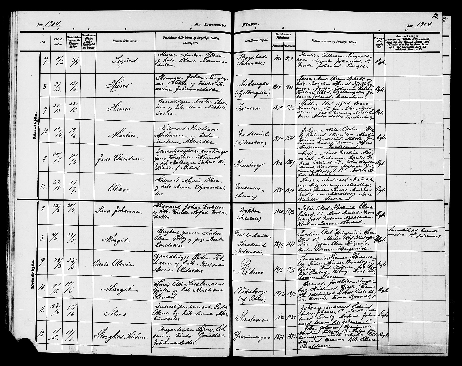 Søndre Land prestekontor, AV/SAH-PREST-122/L/L0005: Parish register (copy) no. 5, 1902-1911, p. 13