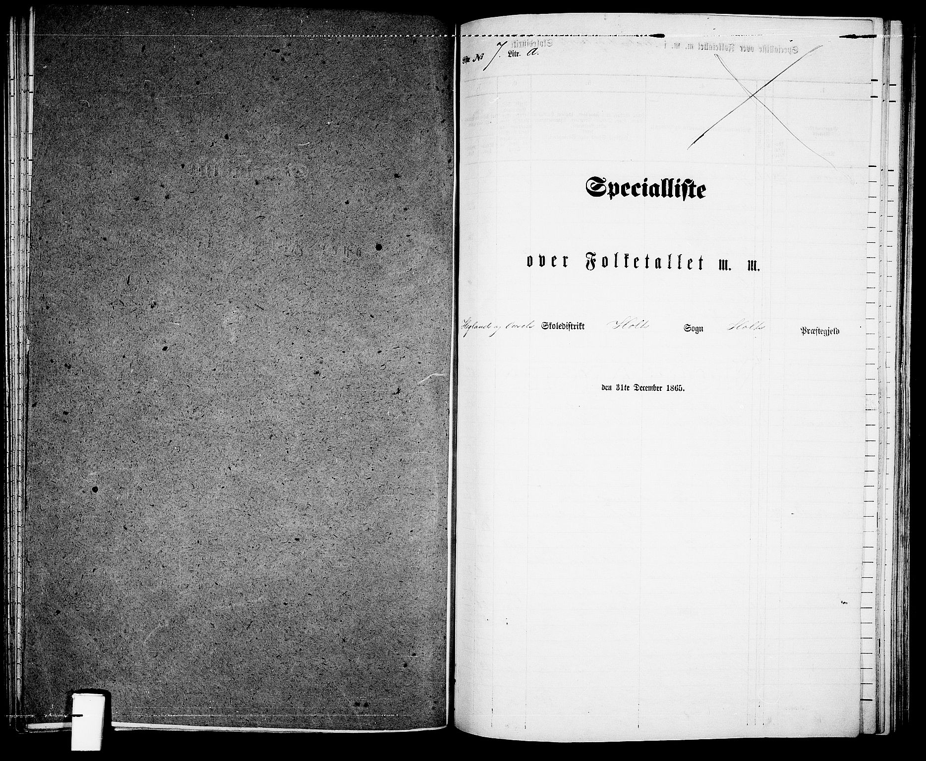 RA, 1865 census for Holt/Holt, 1865, p. 132