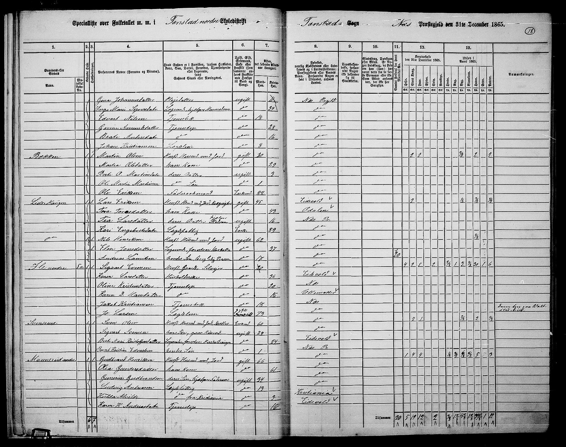 RA, 1865 census for Nes, 1865, p. 17