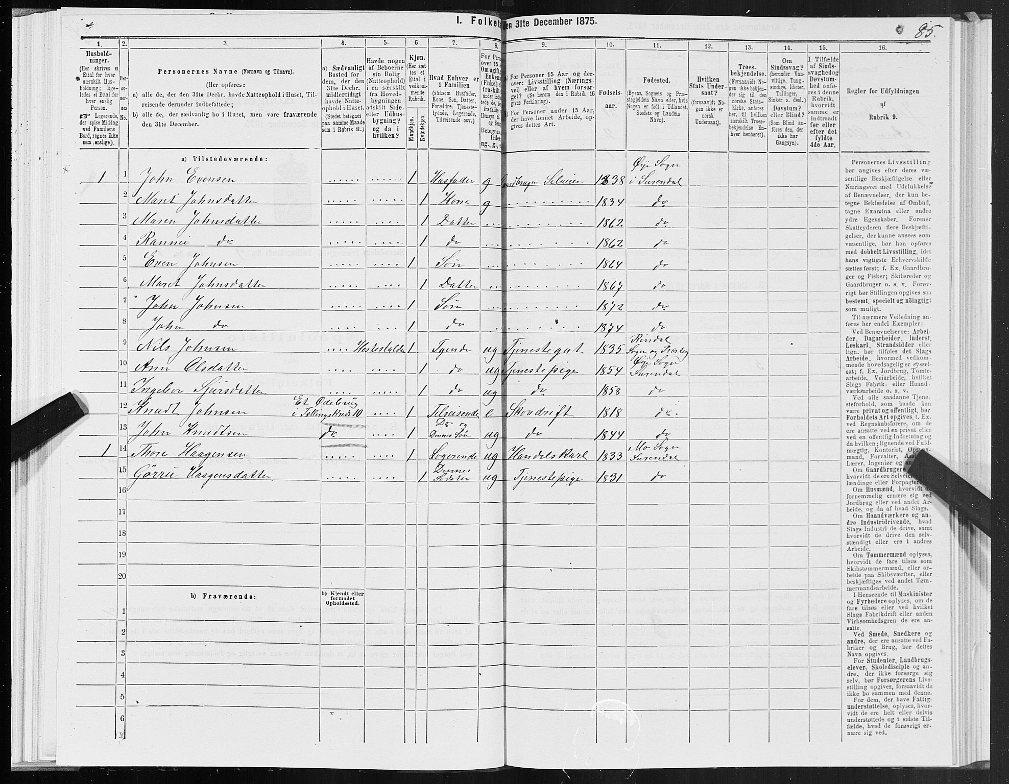 SAT, 1875 census for 1566P Surnadal, 1875, p. 4085