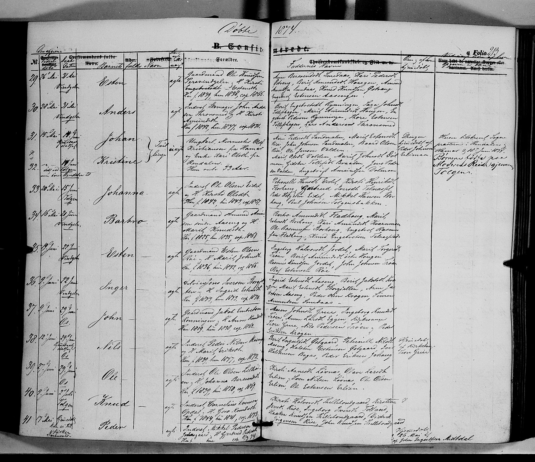 Tolga prestekontor, AV/SAH-PREST-062/K/L0006: Parish register (official) no. 6, 1852-1876, p. 213