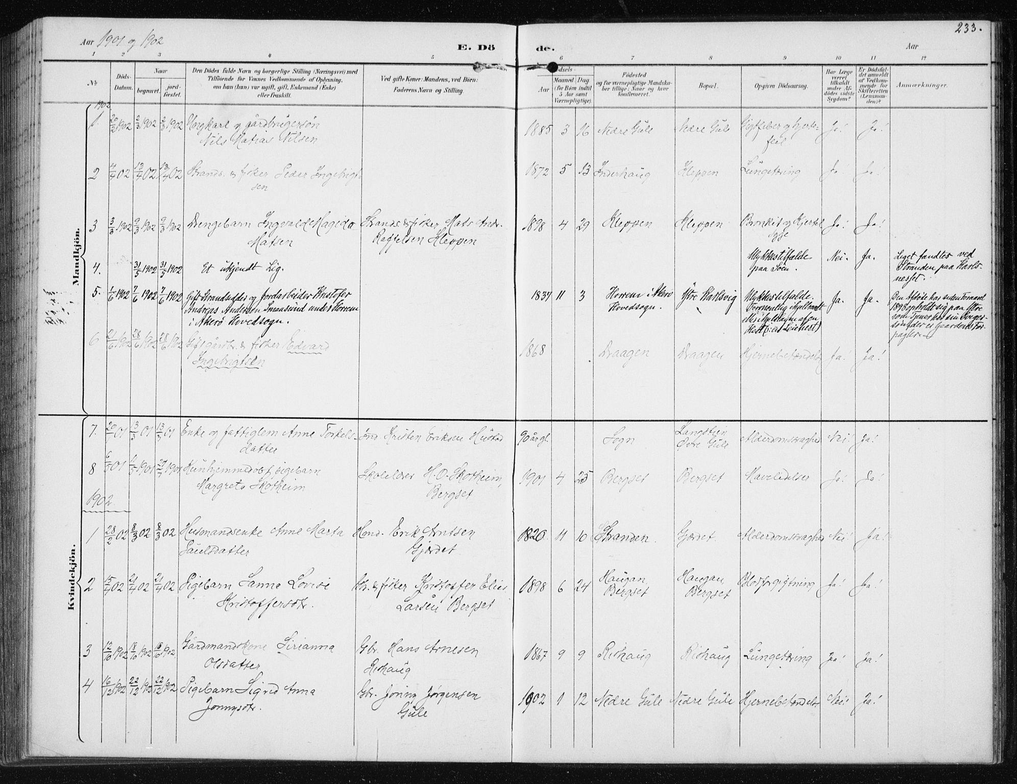 Ministerialprotokoller, klokkerbøker og fødselsregistre - Møre og Romsdal, AV/SAT-A-1454/566/L0773: Parish register (copy) no. 566C02, 1892-1909, p. 233