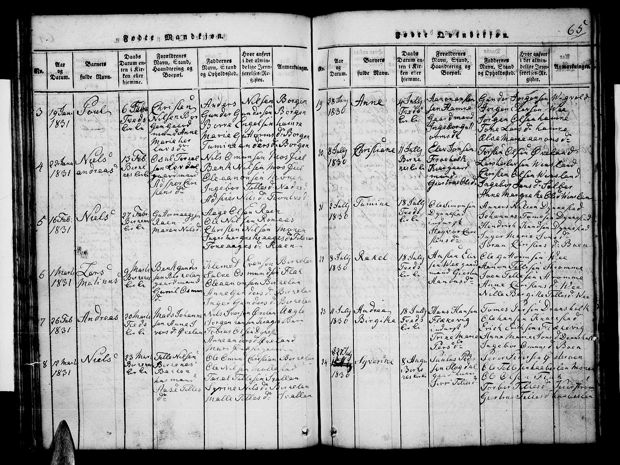 Tveit sokneprestkontor, SAK/1111-0043/F/Fb/L0001: Parish register (copy) no. B 1, 1820-1834, p. 65